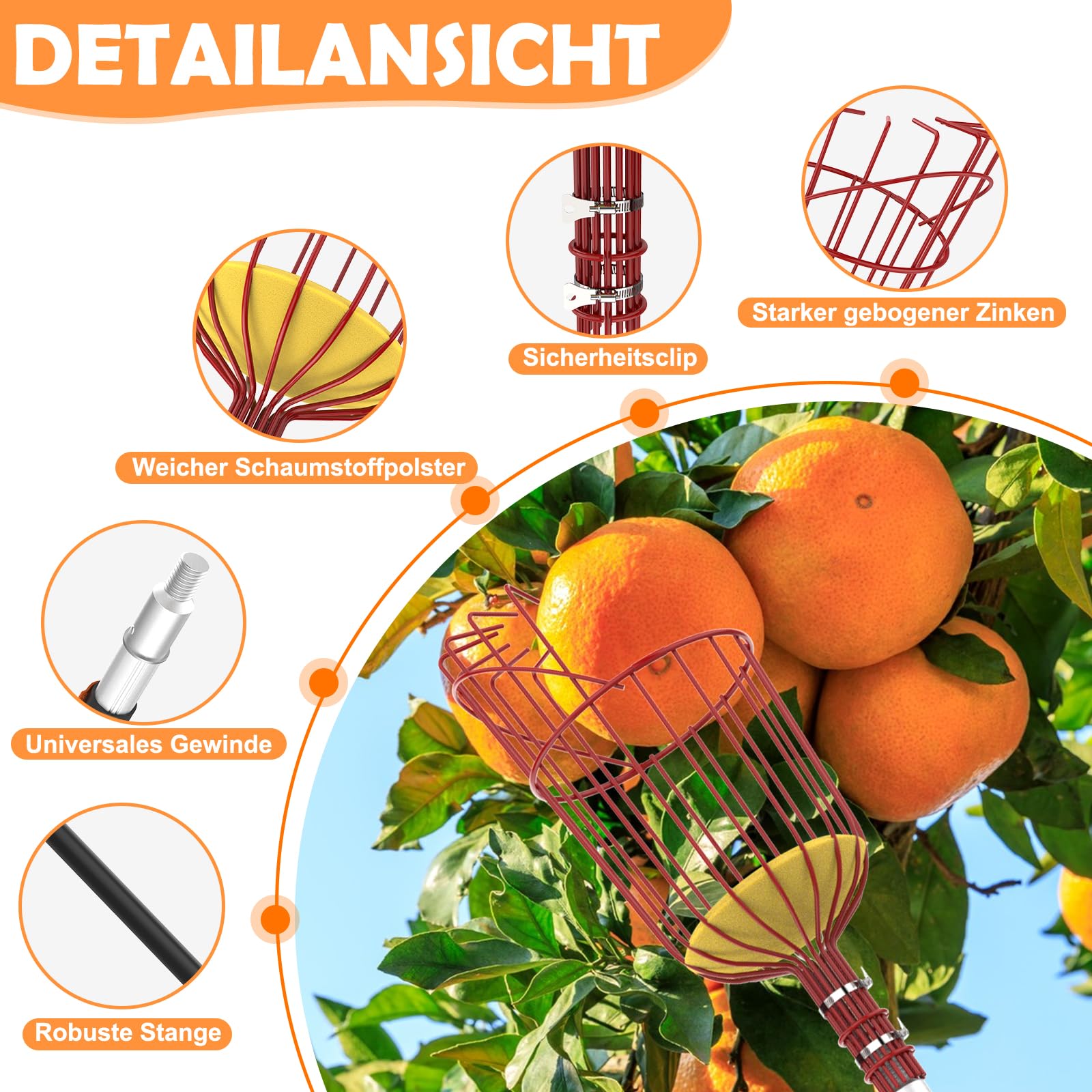 SISIUPASSIE 6m Obstpflücker mit Teleskopstiel – Apfelpflücker mit Großraum-Obstkorb, Pflückhilfe zum Pflücken von Äpfeln, Zitronen, Orangen, Mangos, Avocados