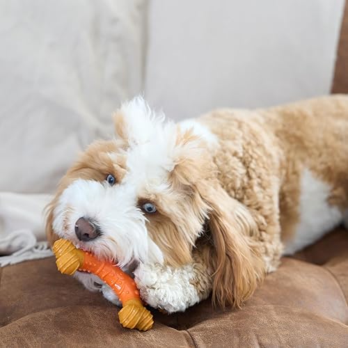 Miniatura 10 de SPOT Bam-Bones Dental X-Bone - Hecho con fibra de bambú y un centro de goma masajeadora, masticable duradero para perros masticadores ligeros y