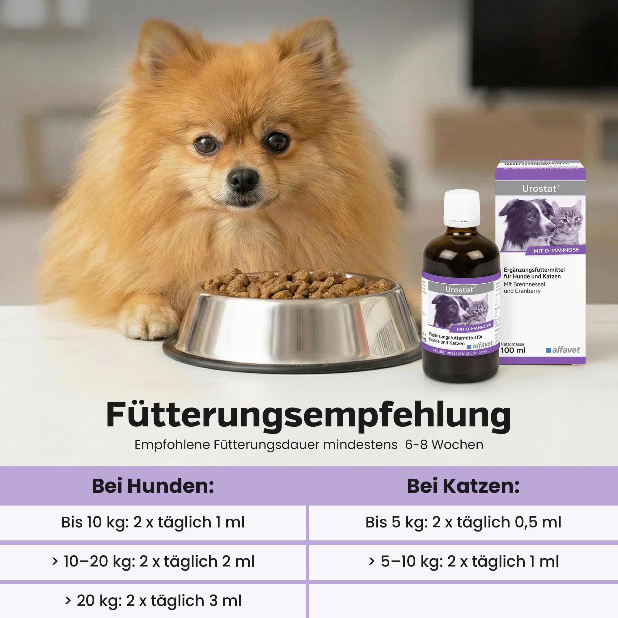 alfavet Nephrostat 100 ml – Ergänzungsfuttermittel für Hunde & Katzen – Tonikum zur Unterstützung der Harnorgane – Mit Goldrute, Birke & Orthosiphon – Inkl. Dosierspritze