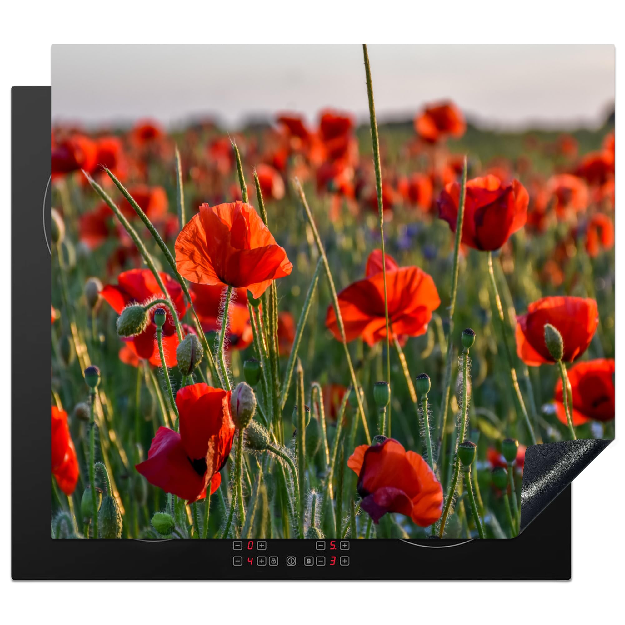 Protection Plaque Vitrocéramique Protège Plaque Induction 59x52 Cm - Impression Plage Pays-Bas - 3mm Épais Protege Plaque De Cuisson