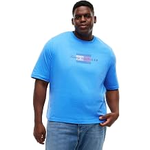 Tommy Hilfiger Men's Bt-Script Flag Tee-b Mw0mw45120 S/S T-Shirt Pack of 1