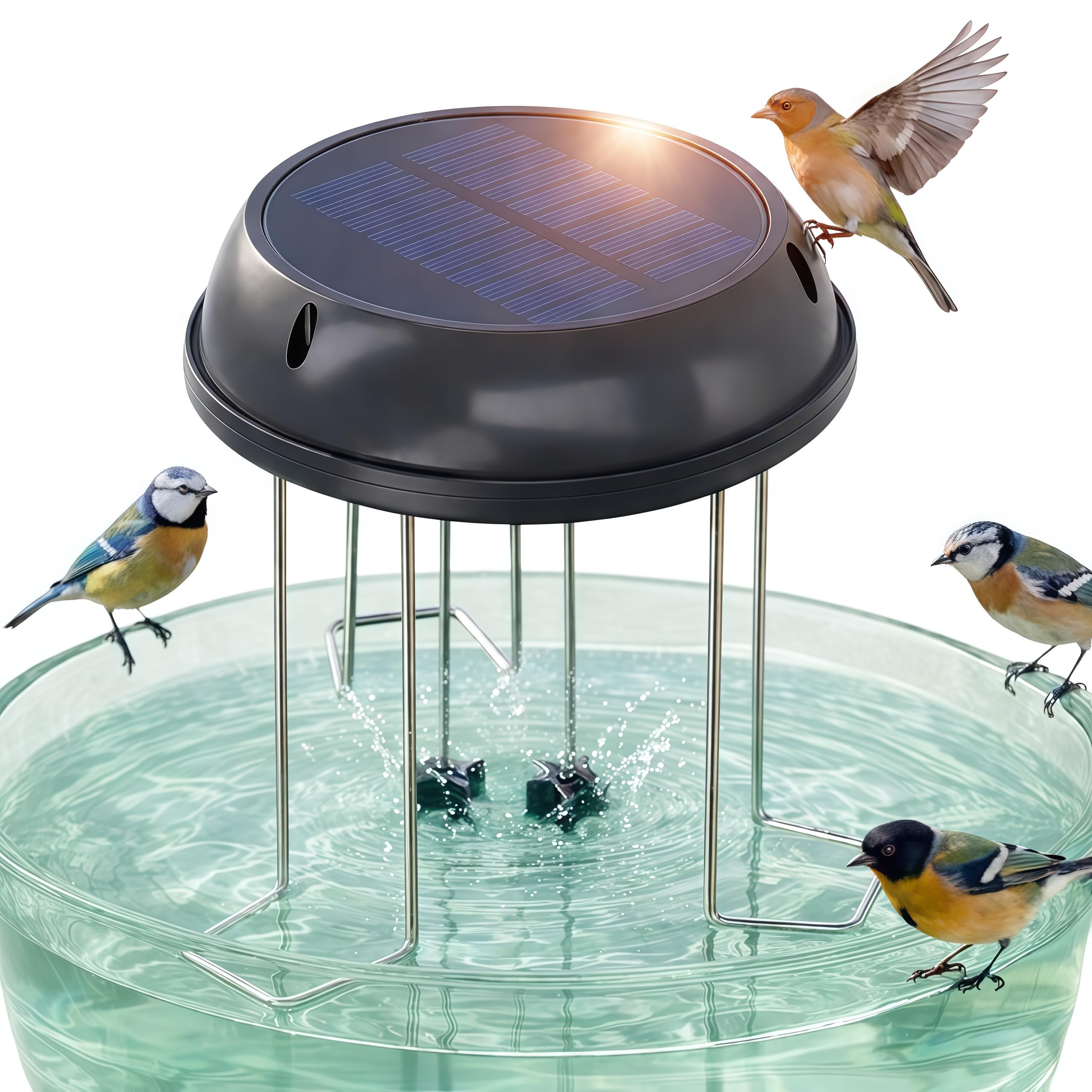 Bain d'oiseaux solaire AMAKO pour animer les étangs de jardin en toute liberté