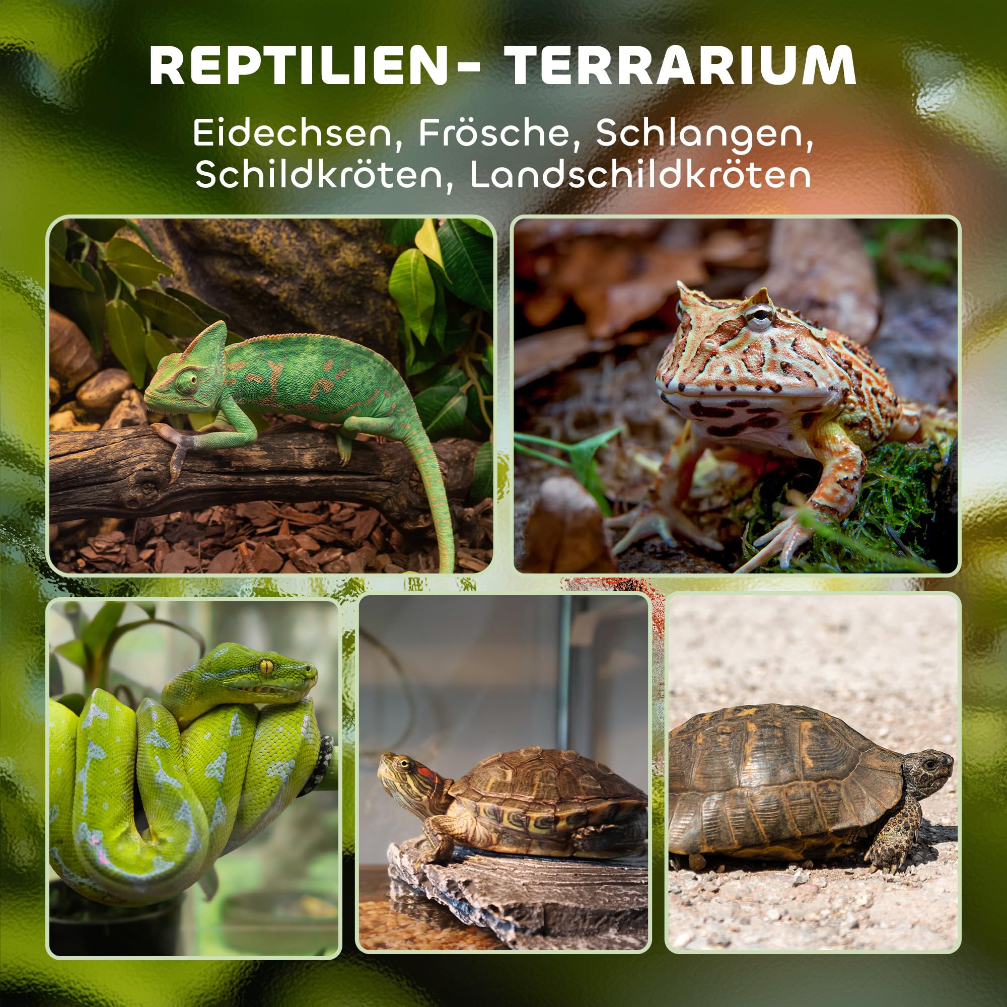 PawHut Terrarium für Reptilien Glasterrarium 48L Reptile Fütterungsbox mit Frontbelüftung ausbruchsicherer Drehverschluss Reptilienzuchtbox für Amphibien Spinne Schwarz 50 x 30 x 35 cm
