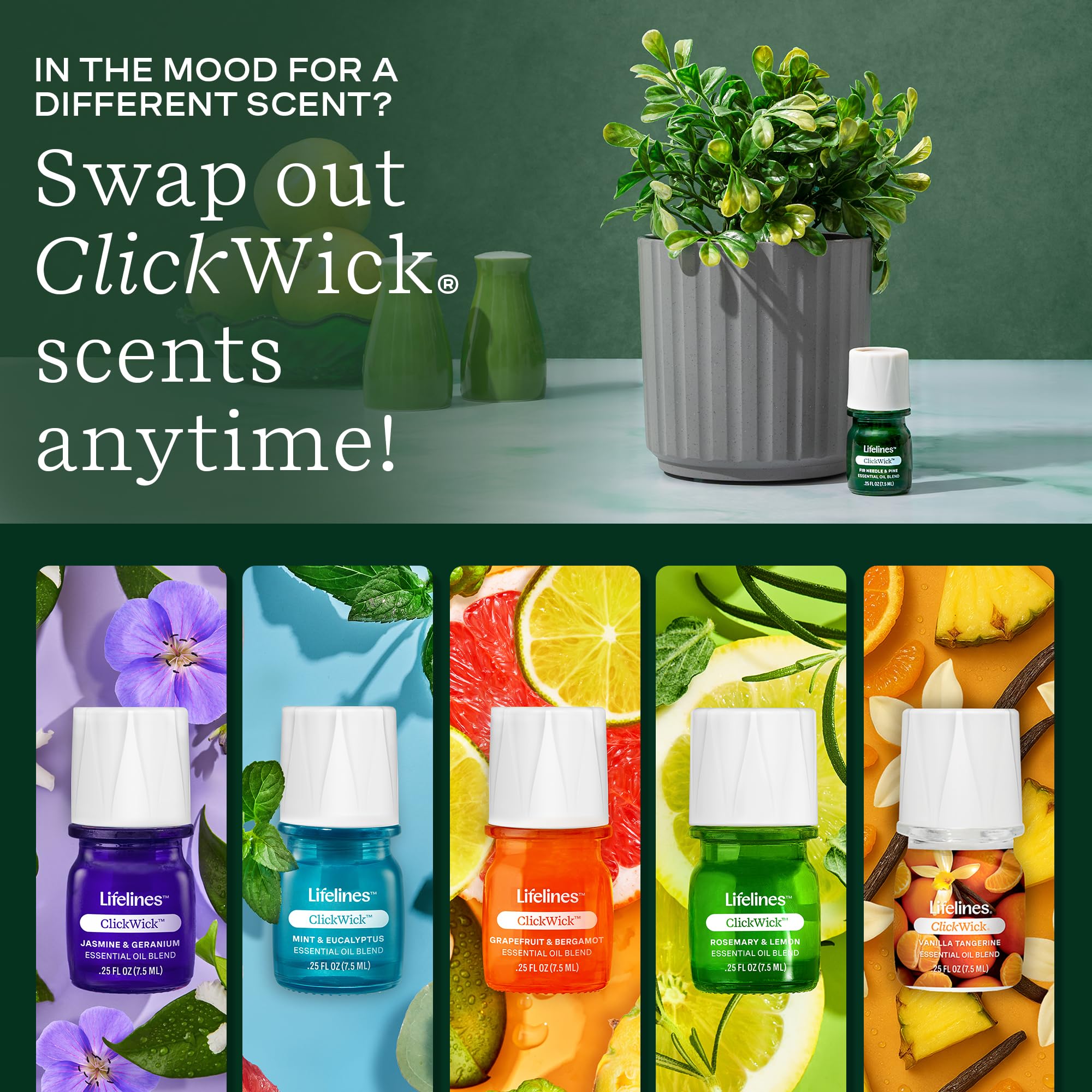 Amazon.com: ClickWick Essential Oil Blends for Lifelines Diffusers