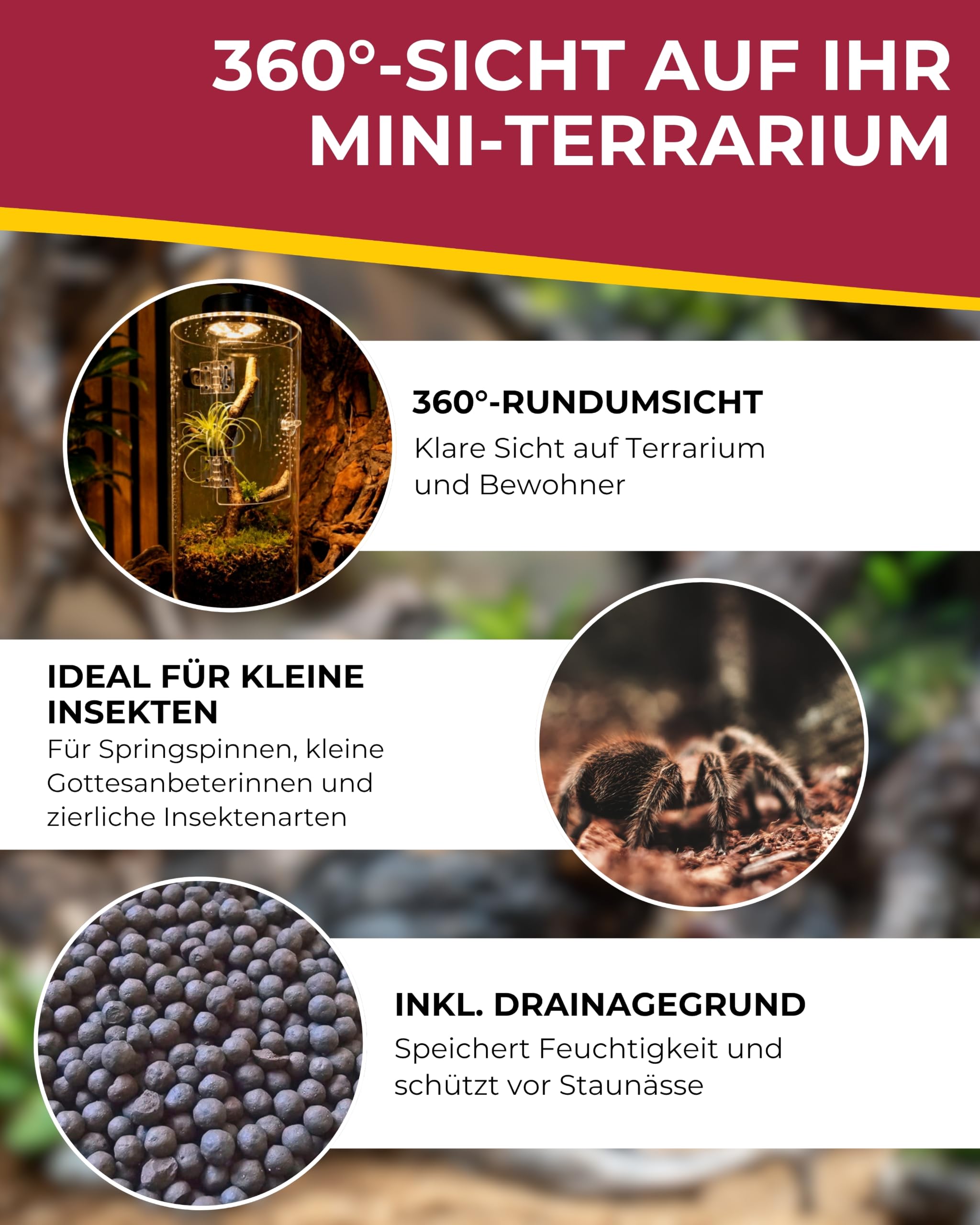 Hobby Terraristik Terra Fix & Easy Insect Line I 15 x 15 x 30 cm I Rundes Acryl-Terrarium I 360° Mini-Terrarium für kleine Insekten I kompaktes Insekten-Habitat inkl. Drainagegrund
