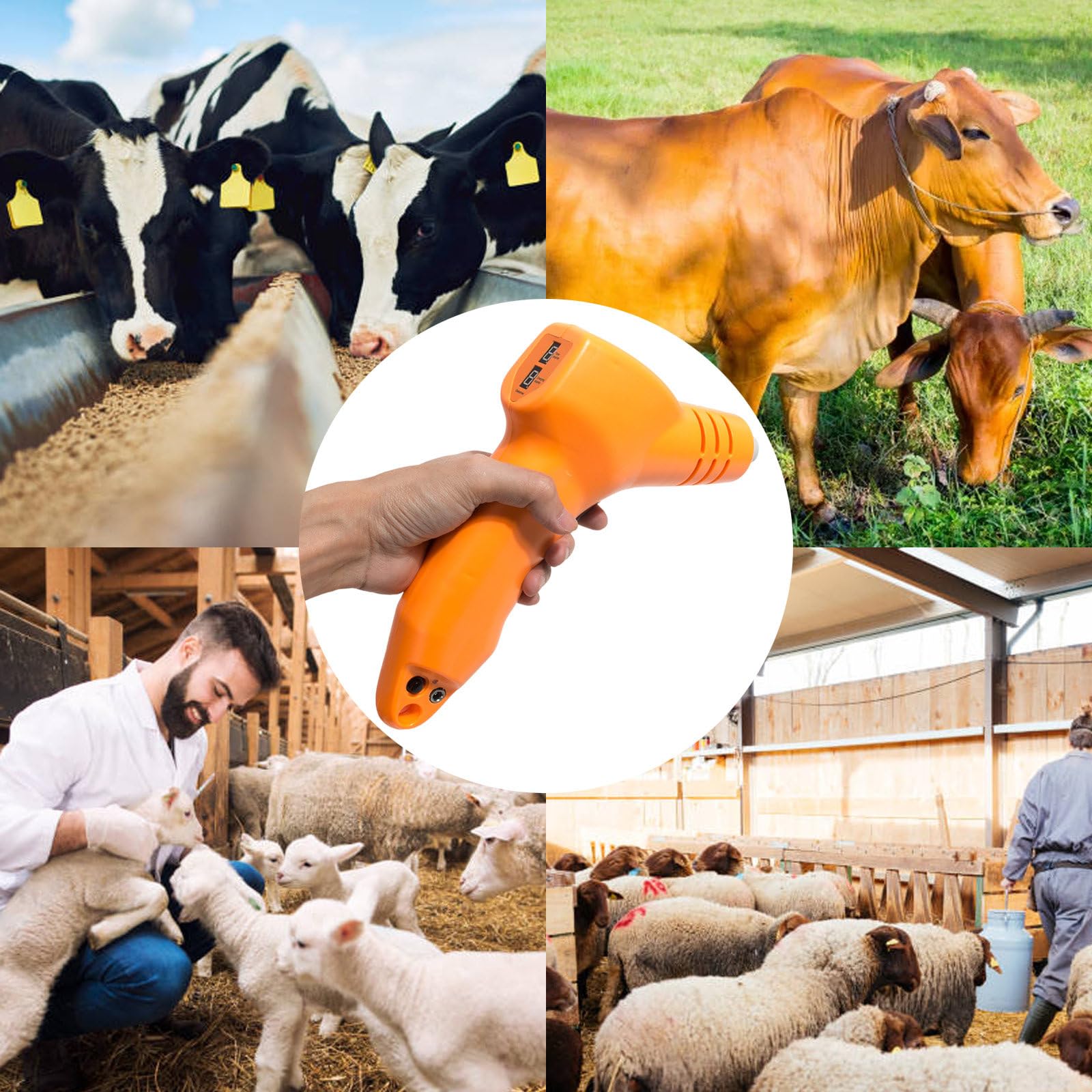 Dehorner Elettrico Portatile per Bovini E Ovini, con Schermo Digitale, Macchina Ricaricabile per La Rimozione del Riscaldamento delle Corna di Vitello E Agnello da Pascolo