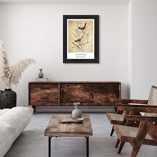 Vista 304 de Towee Bunting by James Audubon - Marco biselado negro de 12 x 16 pulgadas, decoración artística enmarcada para pared, reproducción de pinturas