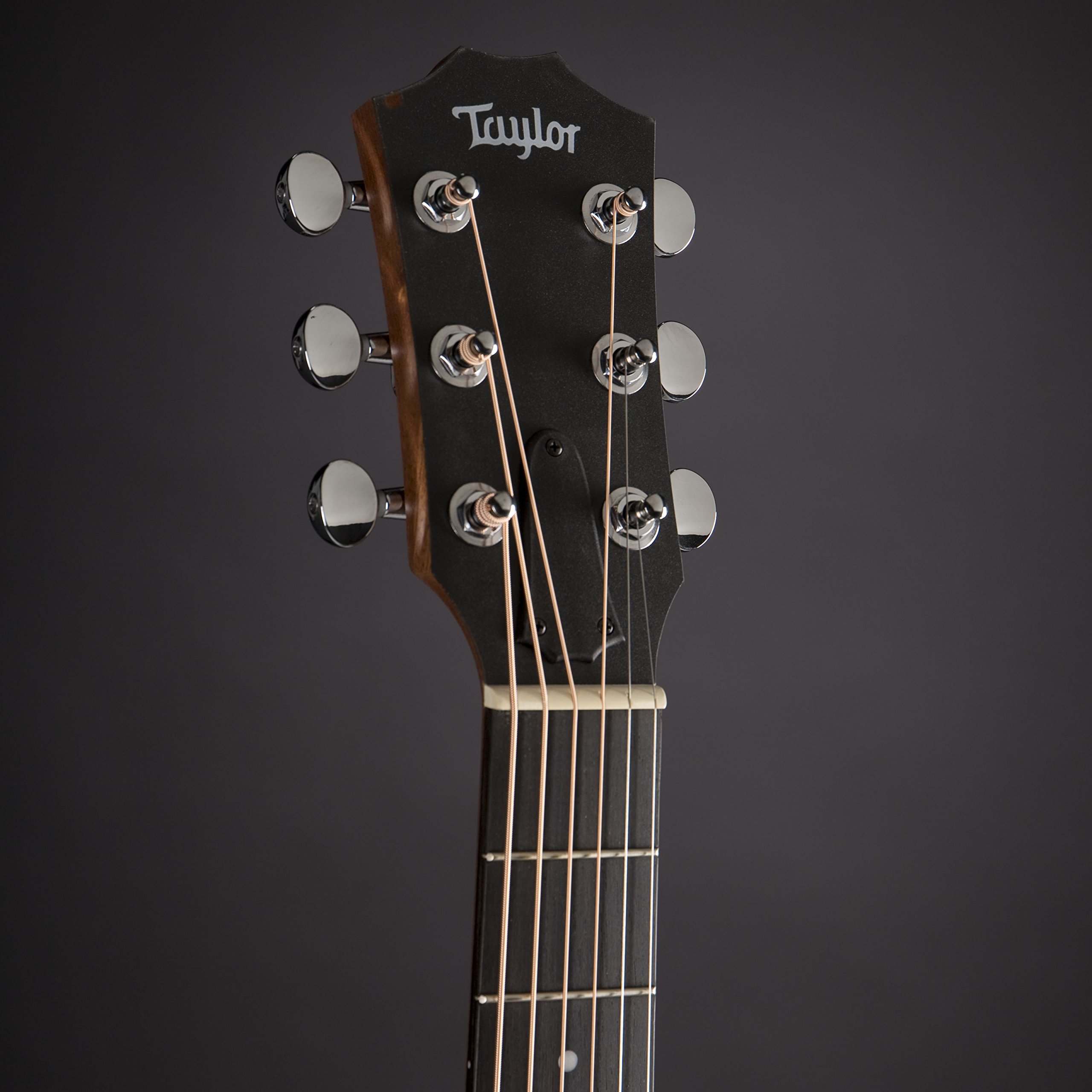 Taylor GS, Chitarra acustica, Mini
