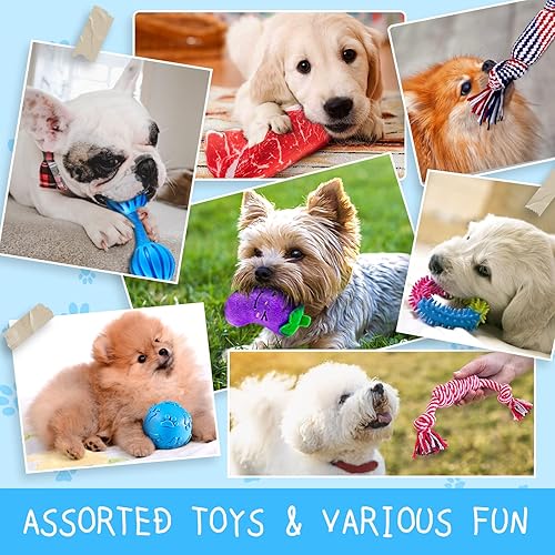 Miniatura 2 de Juguetes surtidos para cachorros, juguetes masticables para cachorros, juguetes chirriantes para perros pequeños, paquete de 8 juguetes interactivos