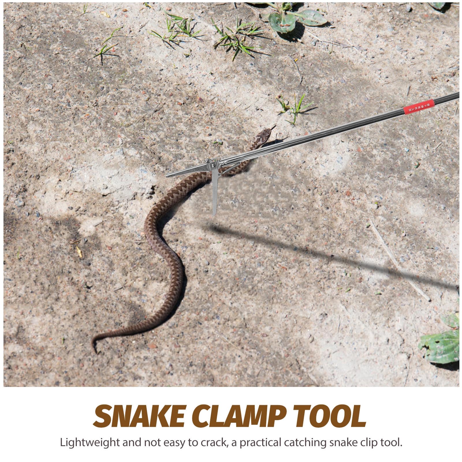 Alipis Pinza de Clip Multifuncional Acero en de para Inoxidable Alta Plegable Durabilidad y Captura para Uso Exteriores de Reptiles