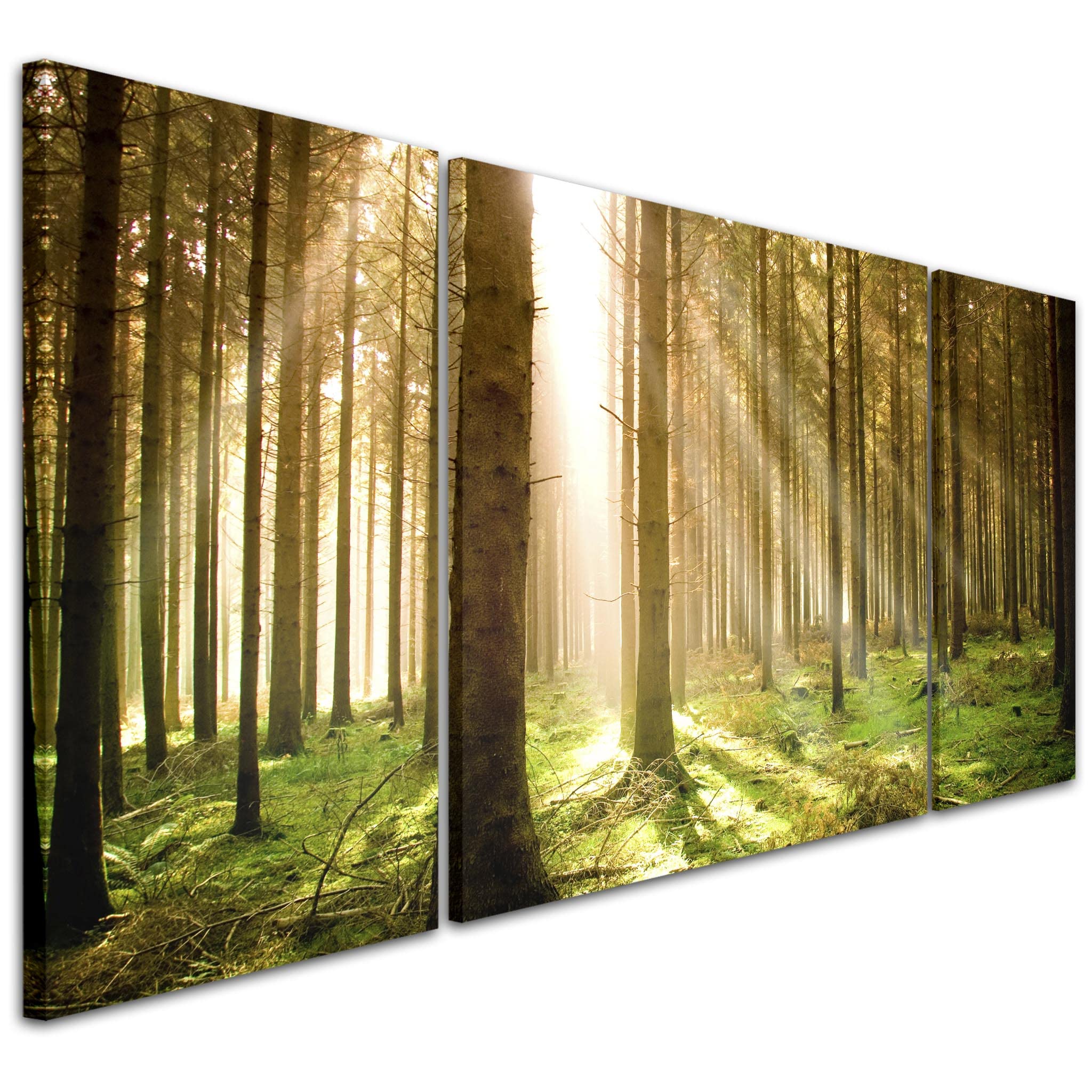 Wallfillers Green Forest Trees Landscape Canvas Wall Art Print - 3AC042 XXL - 191x65cm