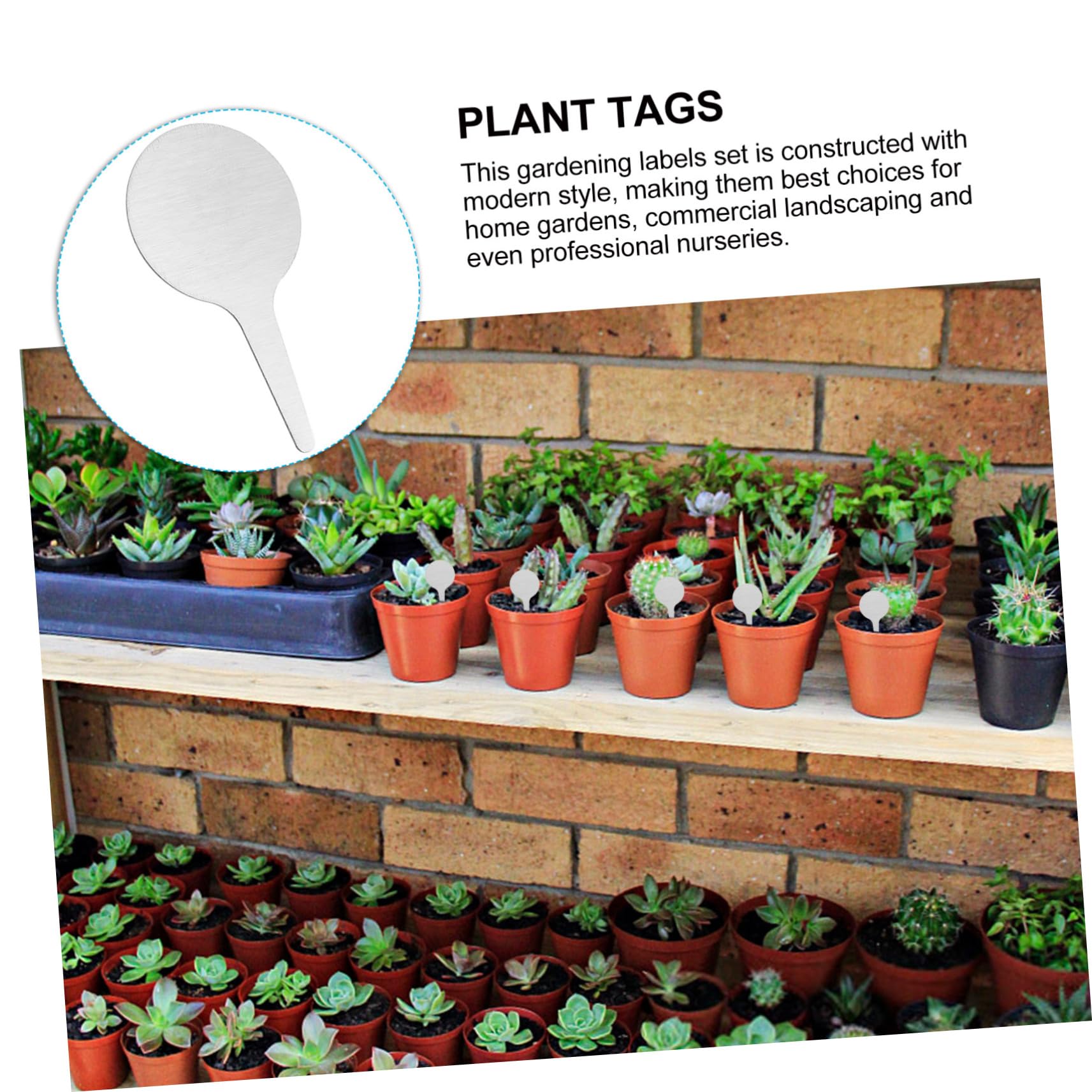 ORFOFE Lot De 3 Étiquettes Rondes En Métal Pour Plantes En Acier Inoxydable Pour Le Jardinage Les Fleurs Et Les Pépinières 50 Pièces X 3