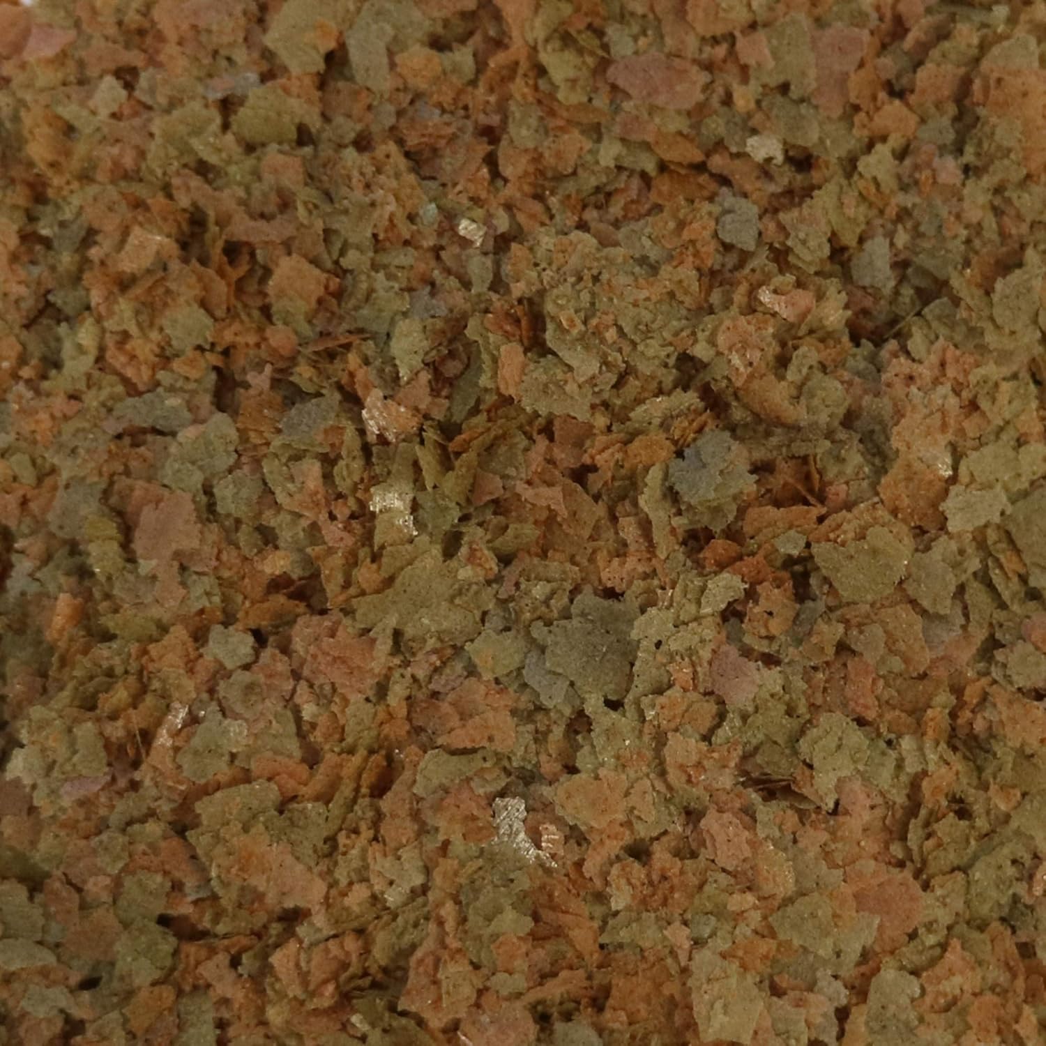 API TROPICAL FLAKES Fish Food .36-Ounce Container : Pet Food : Pet Supplies