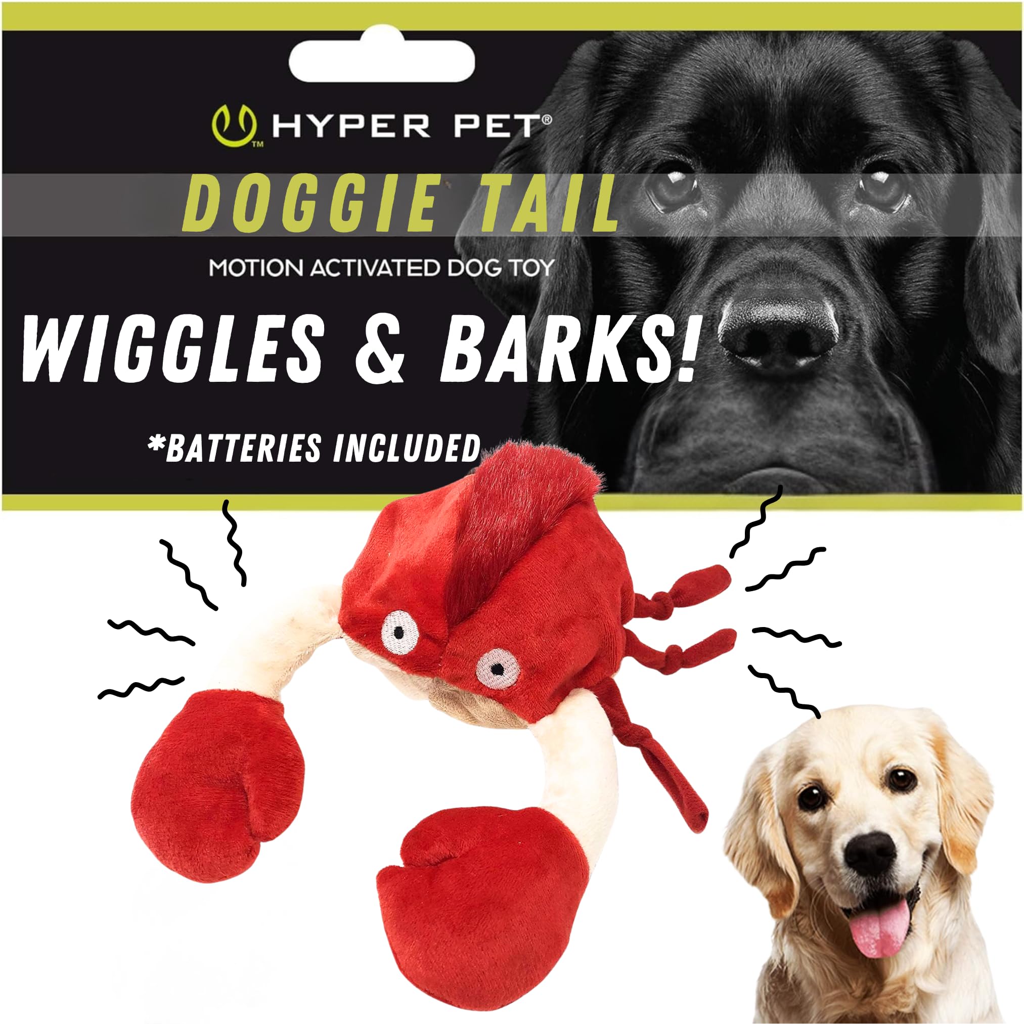 vibrating toys for dogs Amazon.com: VYsTN Interactive Dog Toys, Rechargeable Vibrating,  Jumping,Talking & self-Moving Dog Toys, Puppy Toys to Keep Them Busy,  Anxiety Relief & Boredom Buster for Small & Medium Dogs : Pet Supplies main image 0