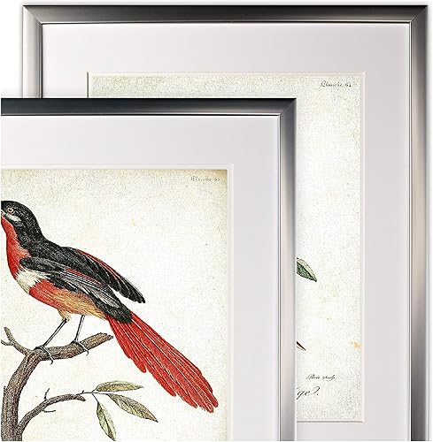 Miniatura 2 de Wexford Home Vintage Aviary Sketch XII - Juego de 2 piezas - Marco plateado impresión artística