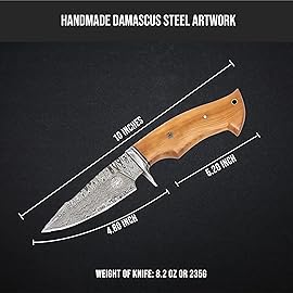 BIGCAT ROAR Predator Hunter - Handmade Damascus Steel Fixed Blade Knife 10 - Olive Wood Handle & Belt Leather Sheath - Bushcraft, Outdoor Camping, Skinning & Survival Knife - Collector Gifts for Men