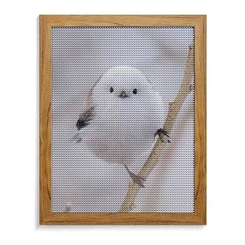 ダイアモンドアート引退品 Amazon.co.jp: TA-BOX ダイヤモンドアート キット【A3size