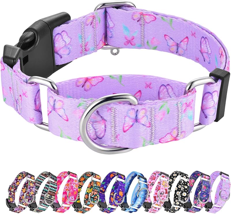 Coleira Martingale Ajustável para Cães Hikiko com Estampa Especial – Tamanho S