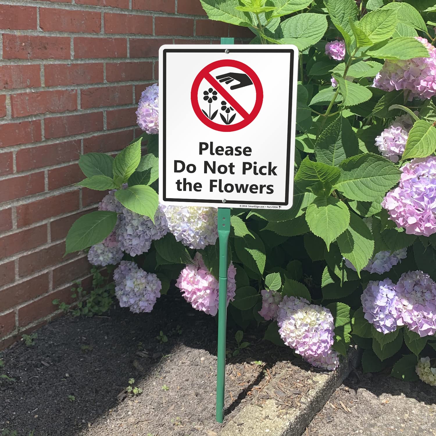 SmartSign Letrero de jardín "Please Do Not Pick The Flowers" con estaca de 3 m, aluminio laminado a prueba de herrumbre de 40 mil, rojo, negro y blanco, juego de 1