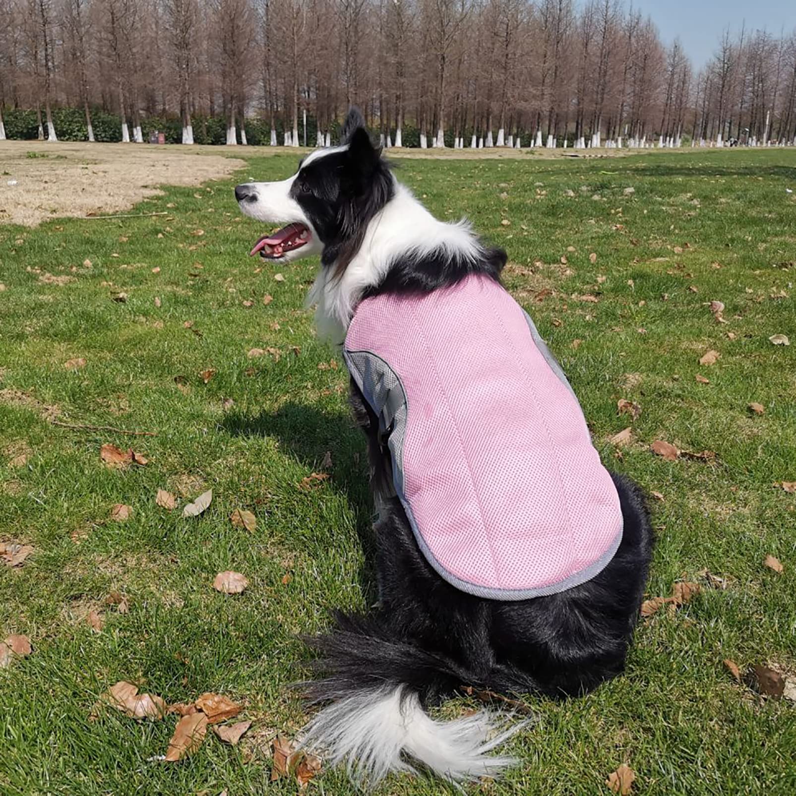 CUTTE Kühlweste für Hunde, Atmungsaktiv Leicht für Sommer-Hundebekleidung Mesh-Eisweste Zum Gehen, Laufen mit Hoher Sichtbarkeit,Pink,M