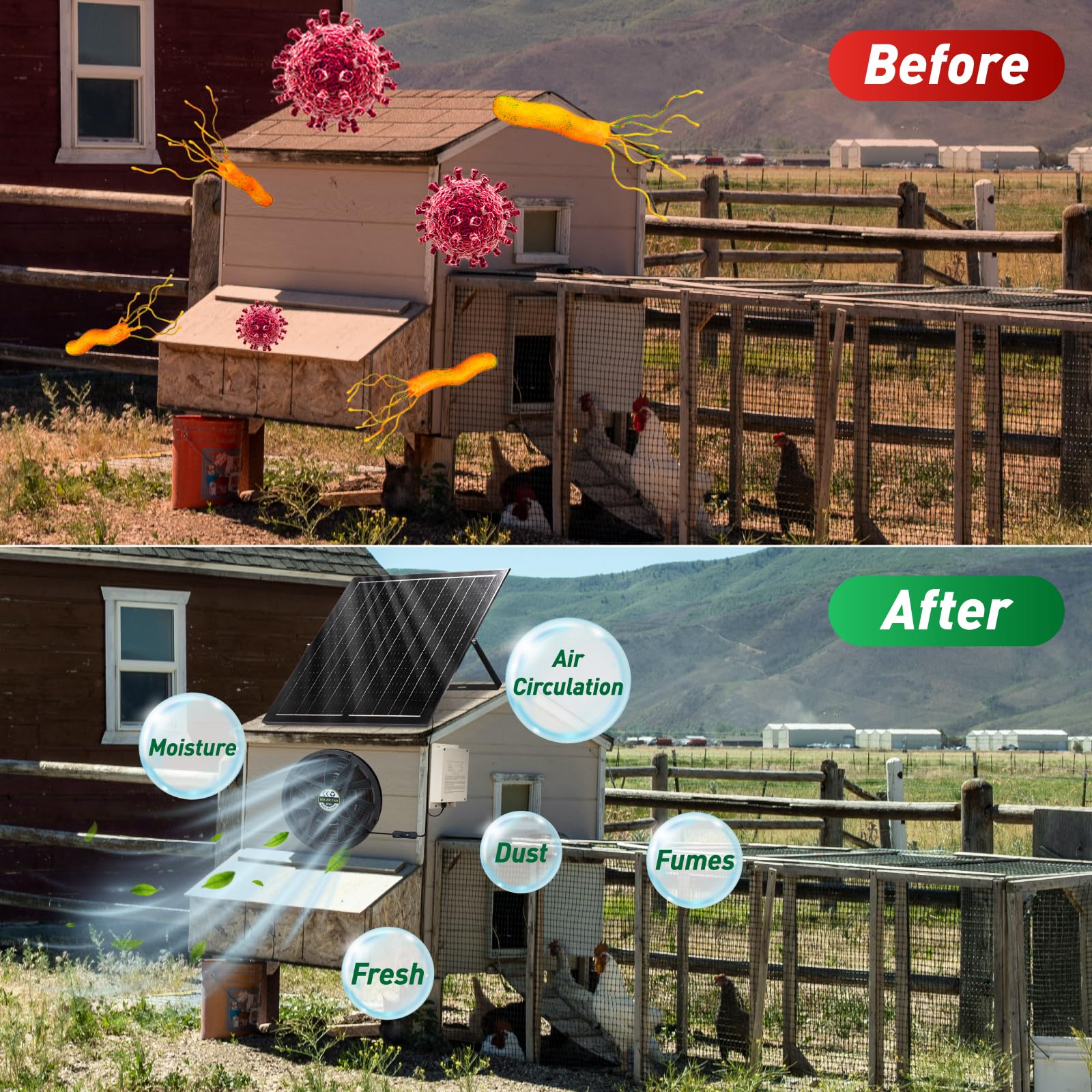 Solar Powered Heater , 20W Single Chicken Coop Heaters Portable Solar  Chicken Coop Solar Powered Heater, image size:1600x1600