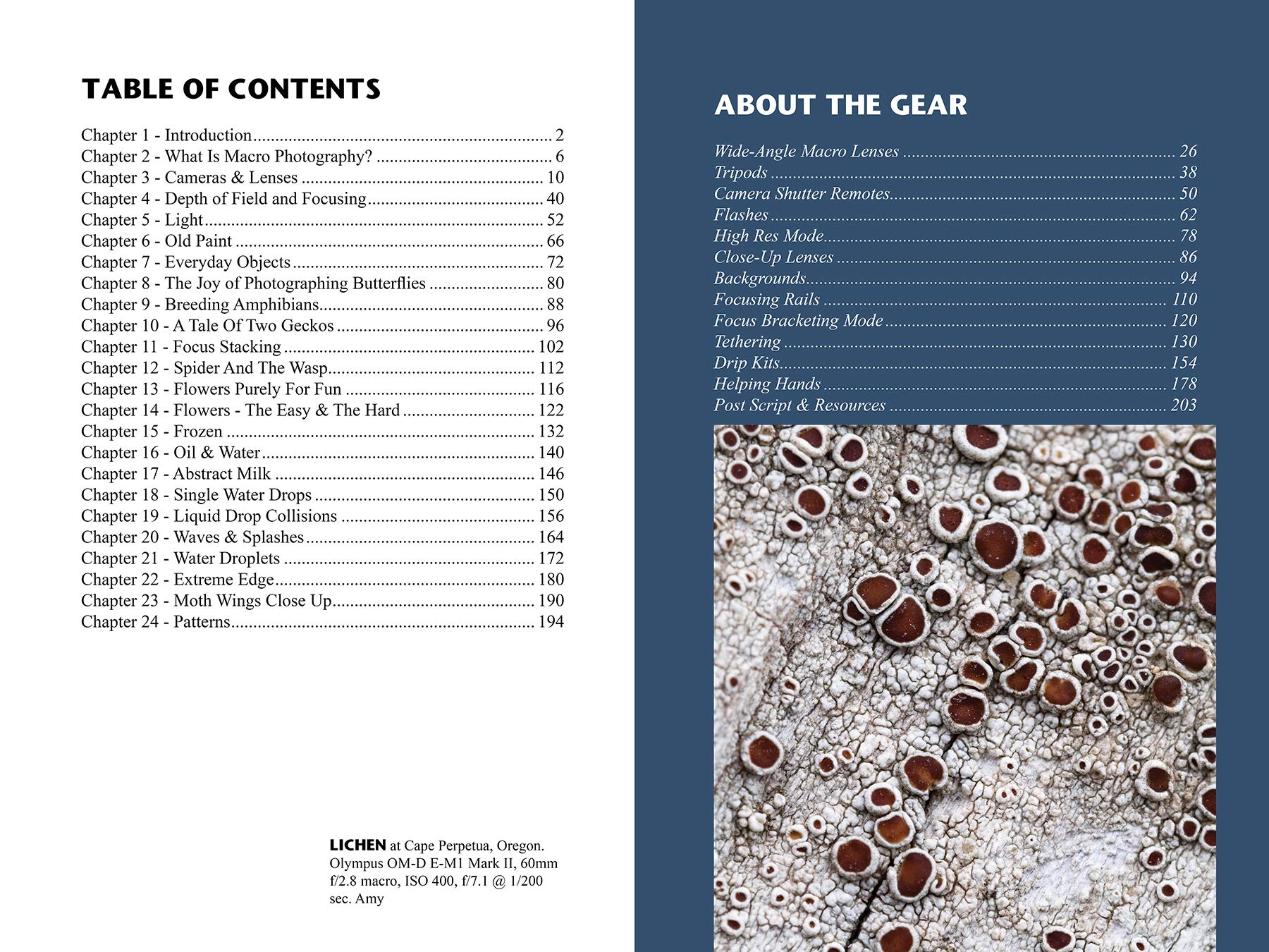 The Art of Macro Photography Book
