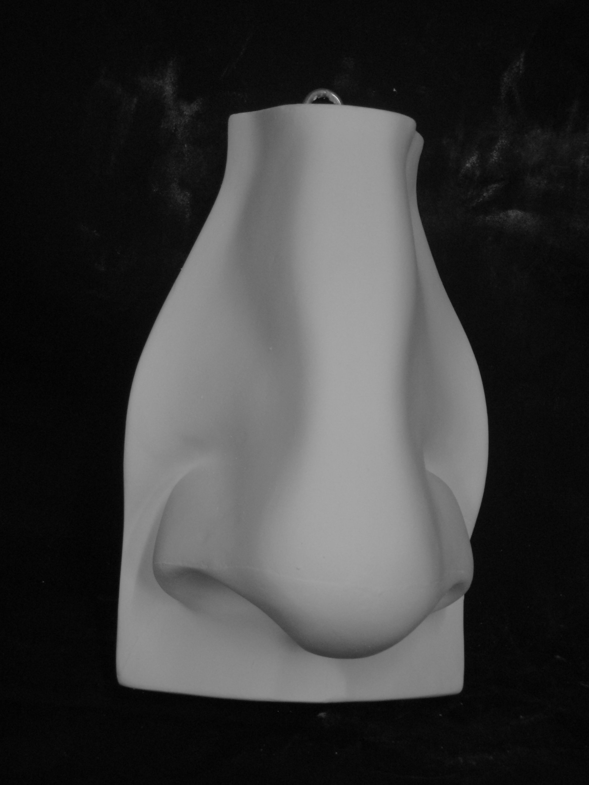 Amazon.co.jp: 石膏像 B－519 鼻 H．20cm : ホーム＆キッチン