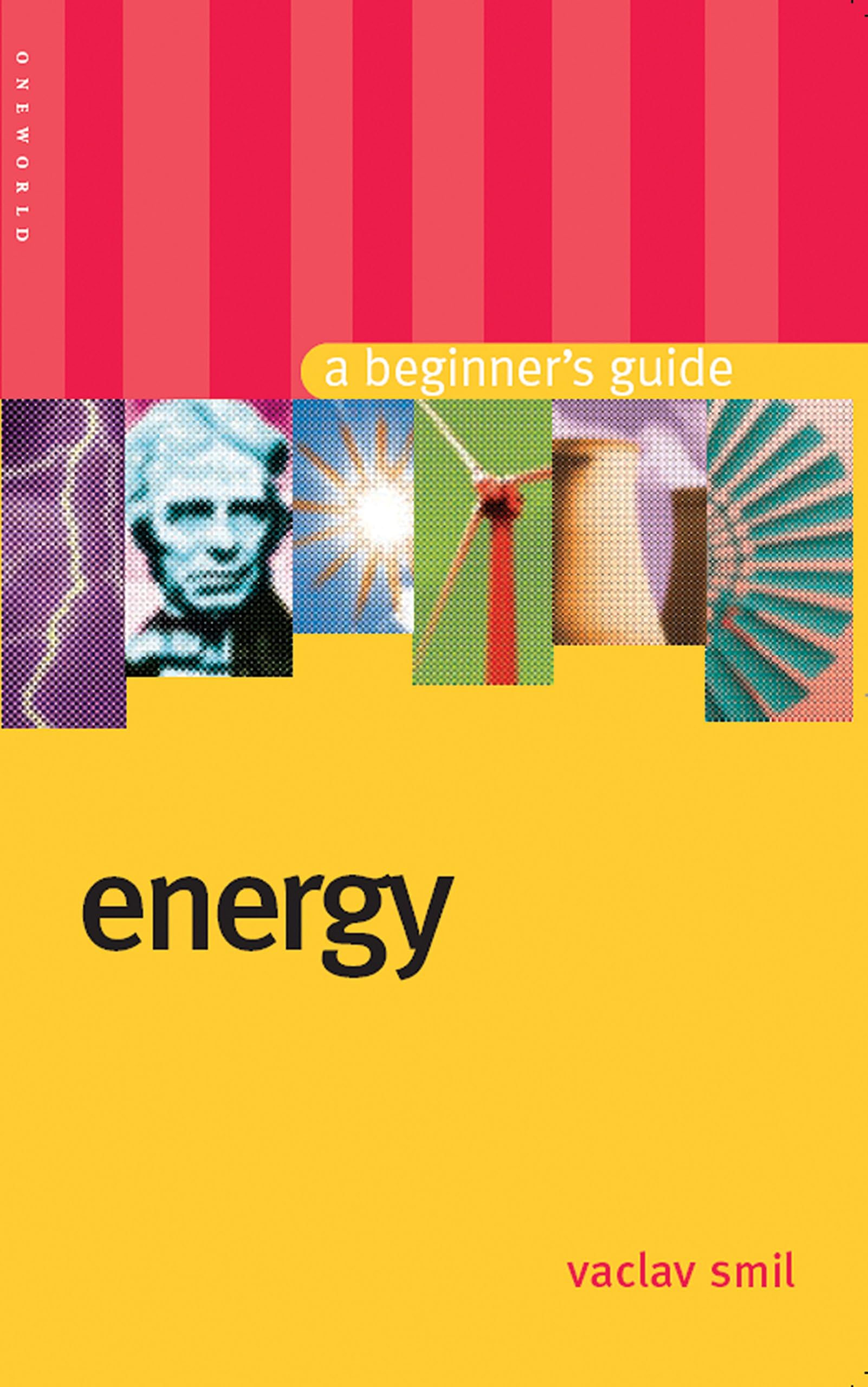 Energy: A Beginner's Guide (Beginner's Guides) Paperback – May 1, 2006