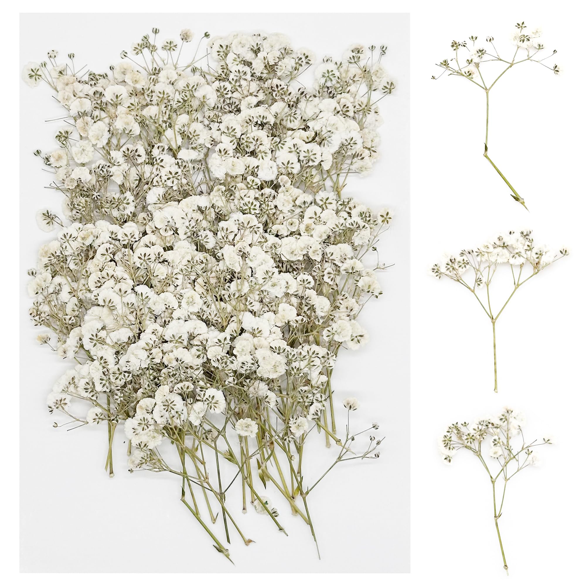 Cayway Natural Dried Pressed Flowers, 60 PCS Real Natural Pressed Flowers for Resin, Real Dried Pressed Flowers for Nail Art Scrapbooking Candle Jewelry Making, Celestial Flowers — image 1