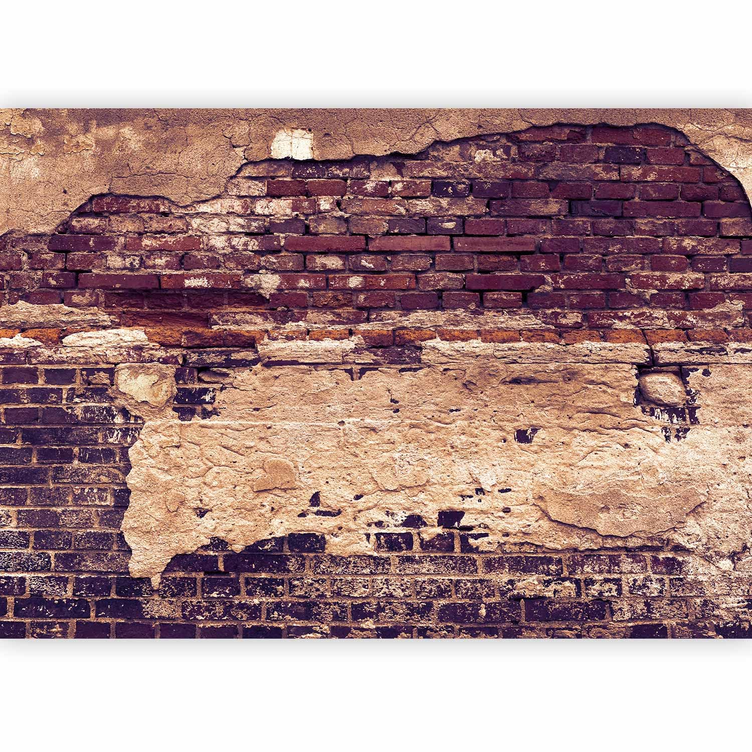 murando Fotomurales PREMIUM 350x256 cm Papel pintado tejido no tejido
