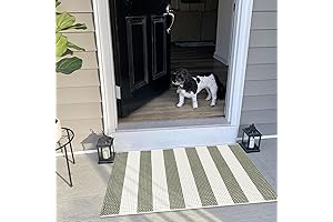 Green and White Outdoor Rug adds a splash of color to the...
