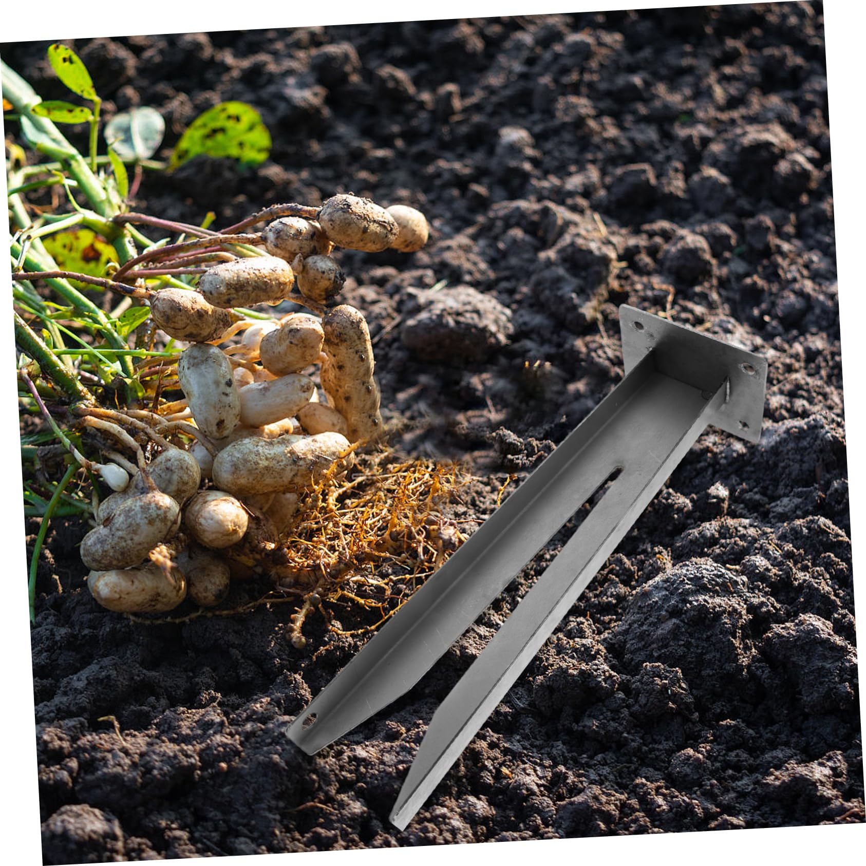 INOOMP 2piezas Recolección De Cosechas Herramienta Manual Metálica para Recoger Cacahuetes para Agricultores y Jardineros