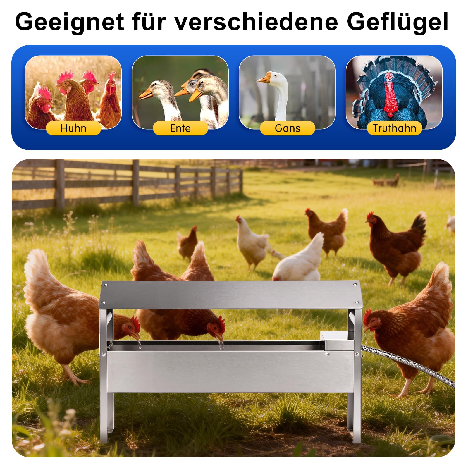 7L Hühnertränke Edelstahl,Schwimmer Geflügeltränke,Tränke Geflügel mit 1/2 Zoll Schwimmerventil für Hühner,Hühner Wasserspender,Wassertränke Hühner Edelstahl für Enten,Gänse,Tauben,Langlebig