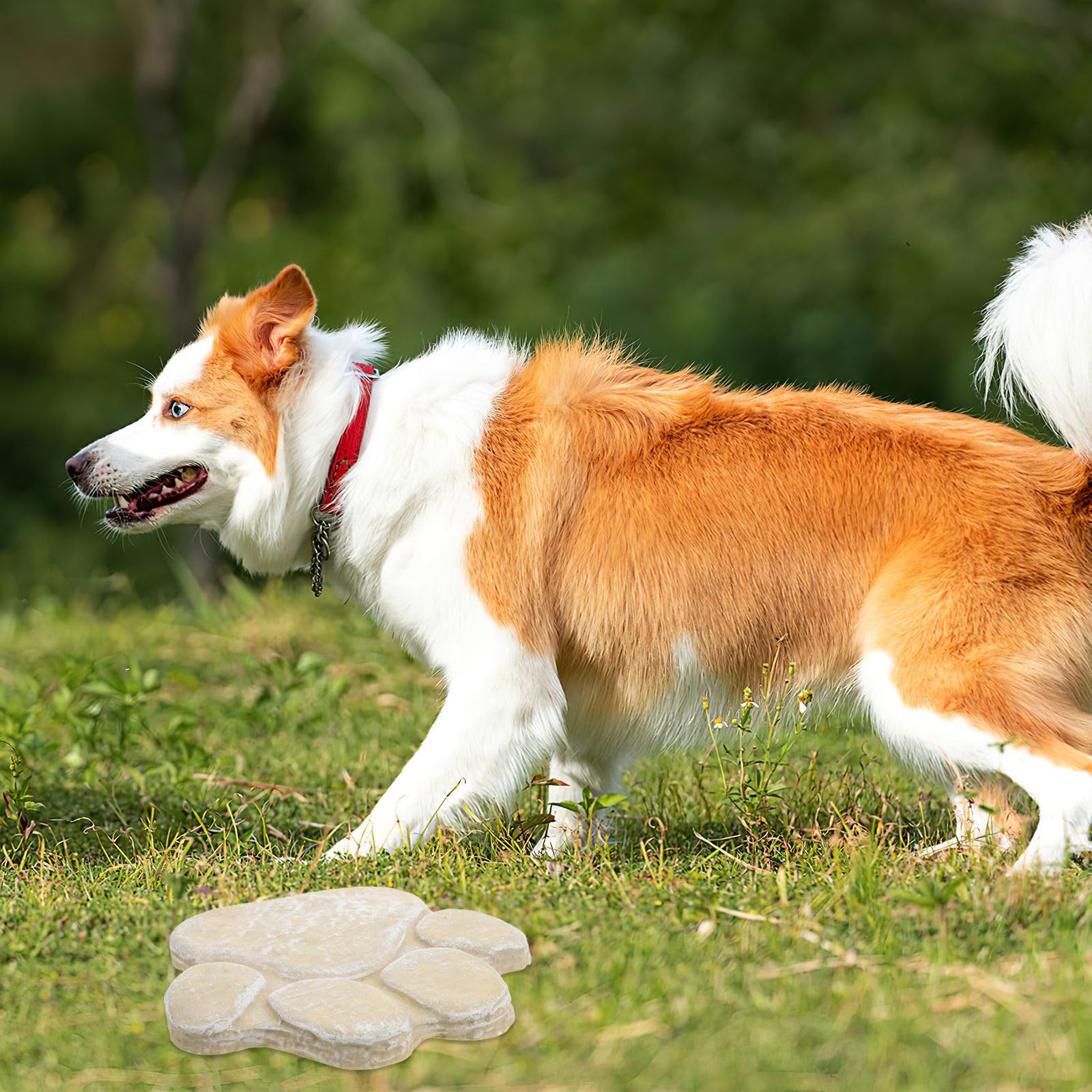 minkissy Piedra Conmemorativa de Resina para Mascotas Forma de Huella Tributo Duradero y Resistente para Perros y Gatos en Jardines y Céspedes al Aire Libre