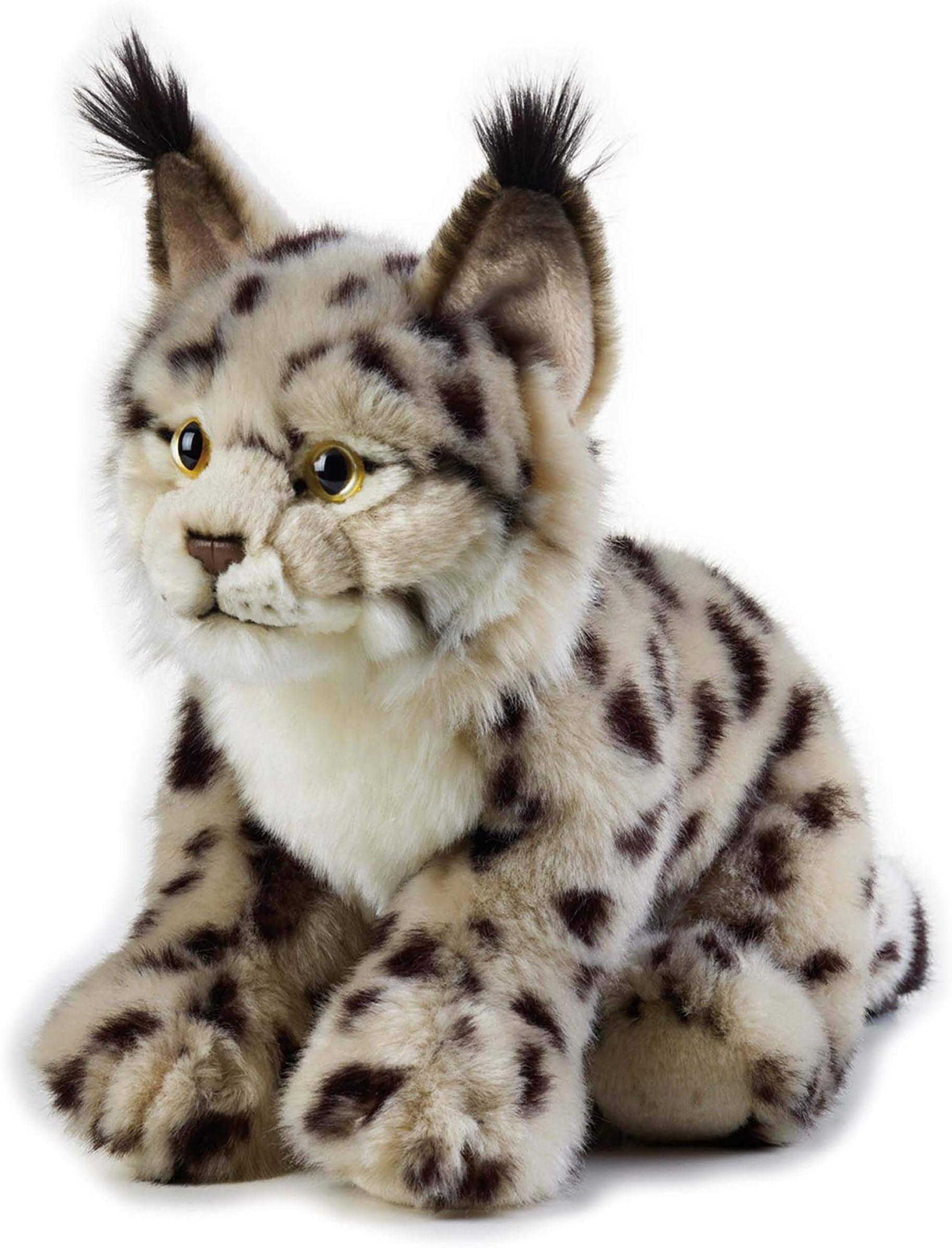 National Geographic 8004332707387 Lelly Lince Media (Ngs), Natural
