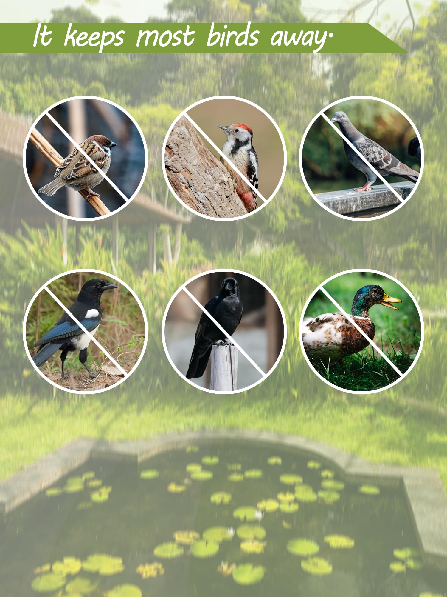 How to Keep Bird Away 