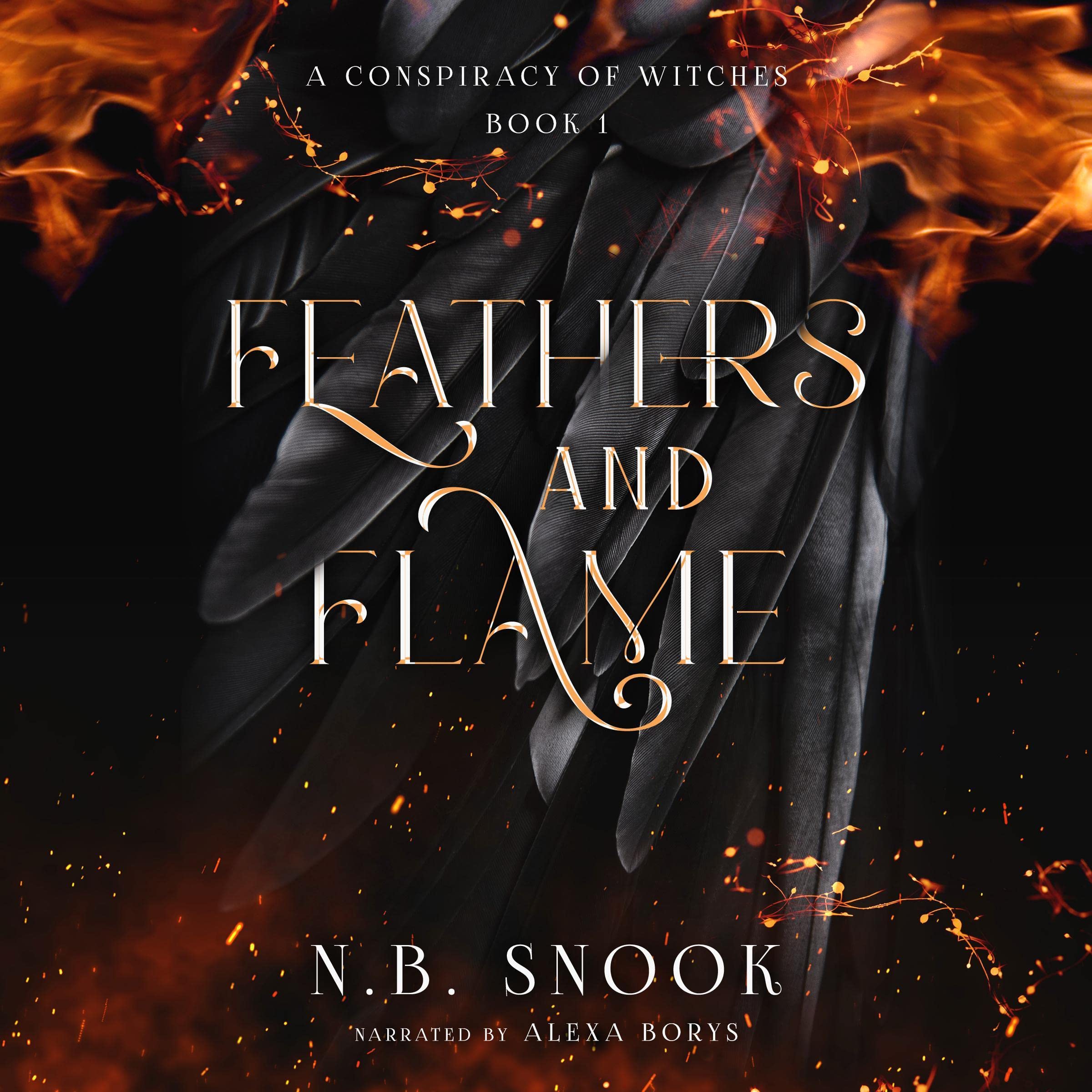 Cover art for Feathers and Flame
