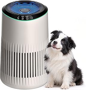 Operan Air Purifier Allergy Home Bedroom Office, HEPA Filters with Aromatherapy Diffuser, Air Purifier for Smoke, Allergie…