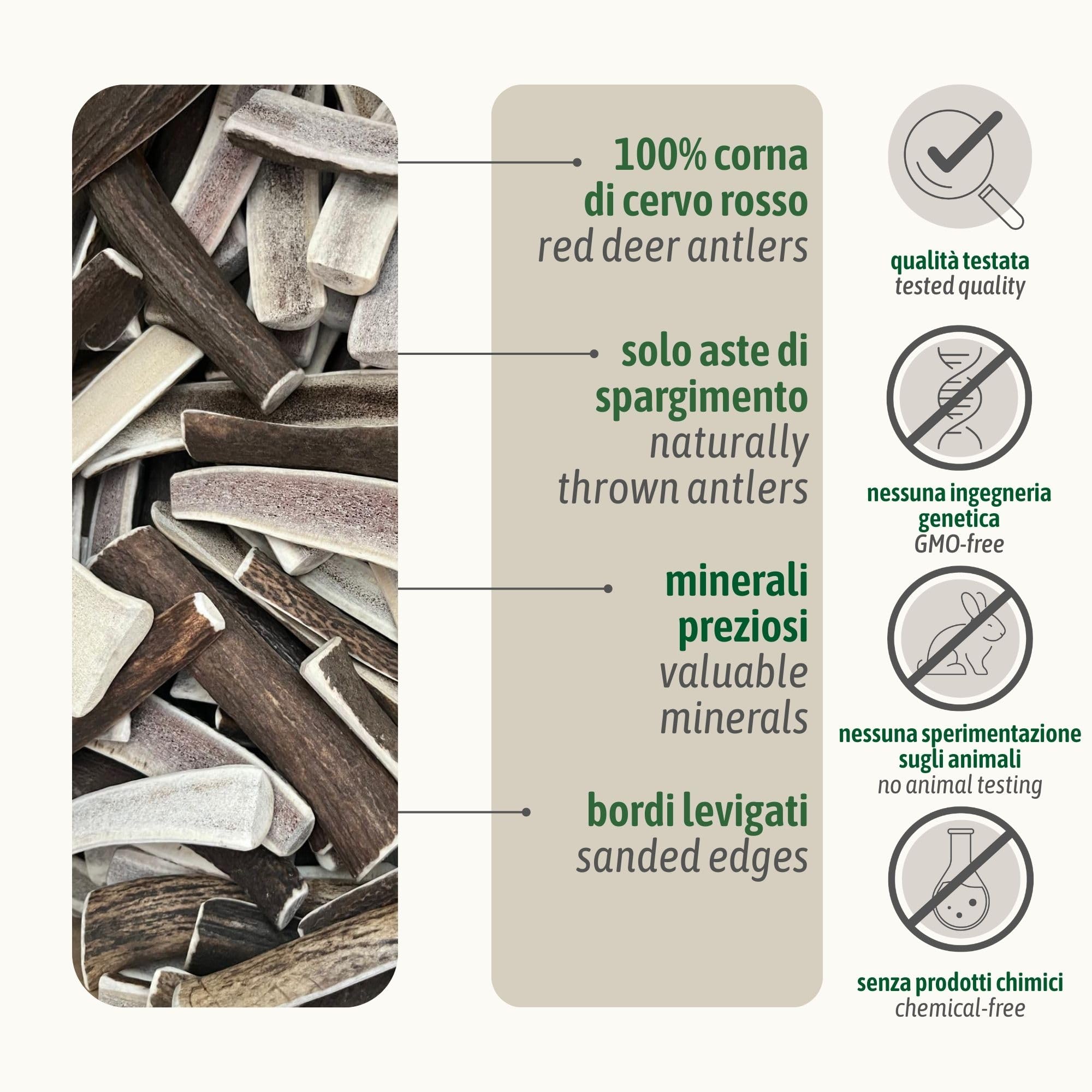 ChronoBalance-XXL Corno di Cervo per Cani, Confezione da 2, Dimezzato, 100% Naturale, Osso di Cervo, Cura Dentale, Giocattolo per Cani, Senza Sostanze Chimiche, Lunga Durata