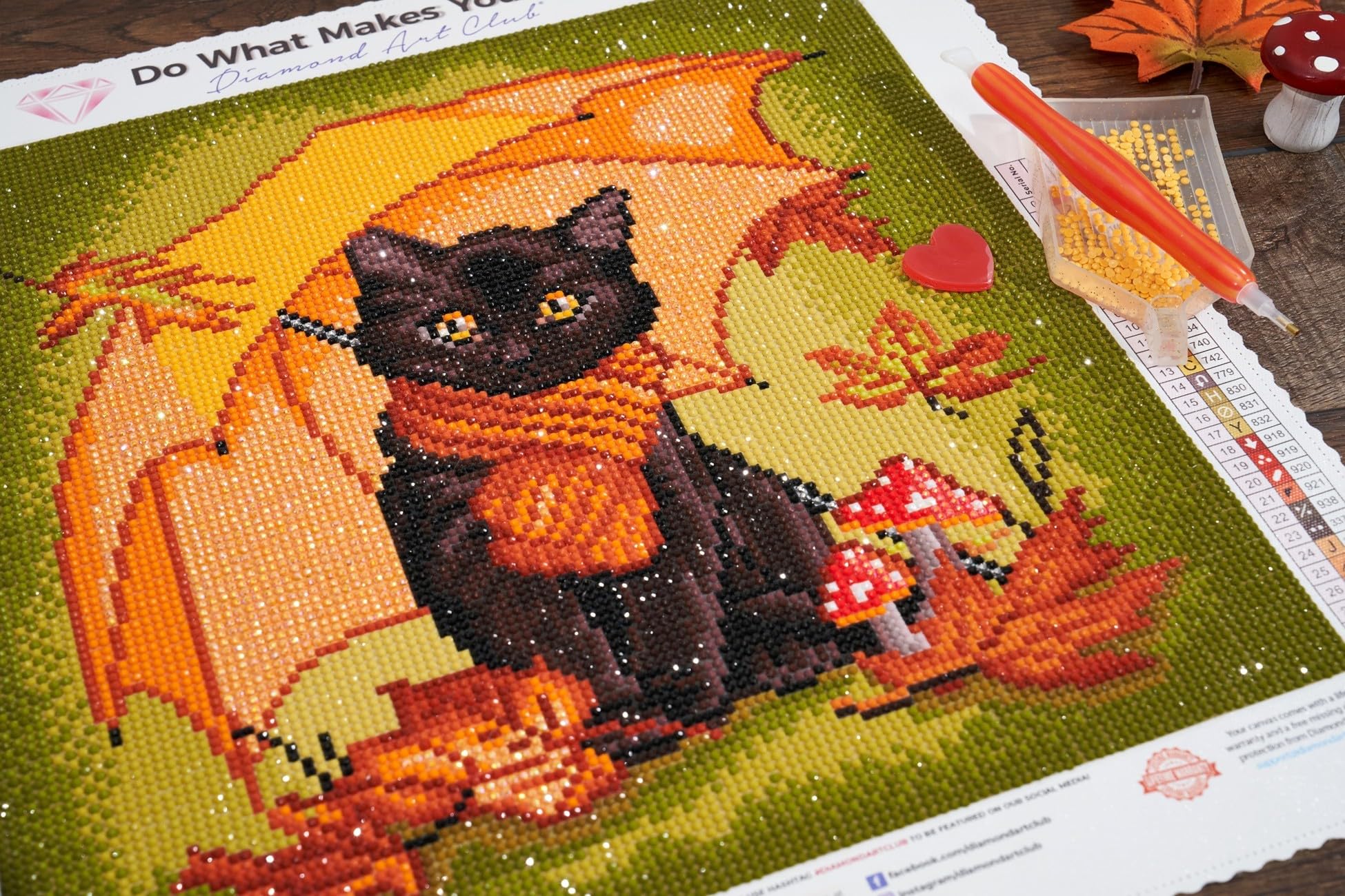 Amazon.com: DIAMOND ART CLUB Under My Umbrella - Black Kitty