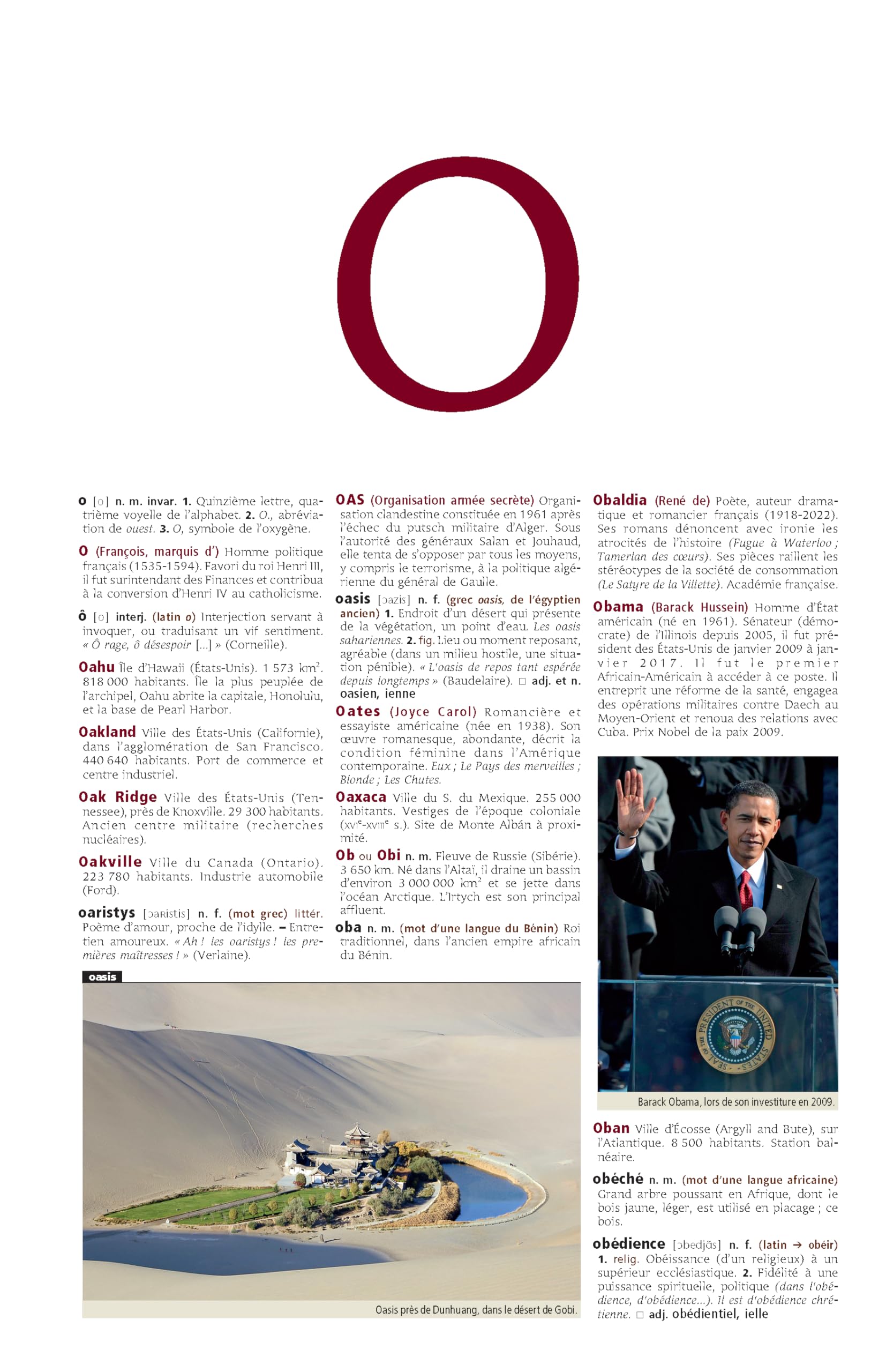Le Robert illustré et son dictionnaire en ligne 2025 - coffret de fin d'année