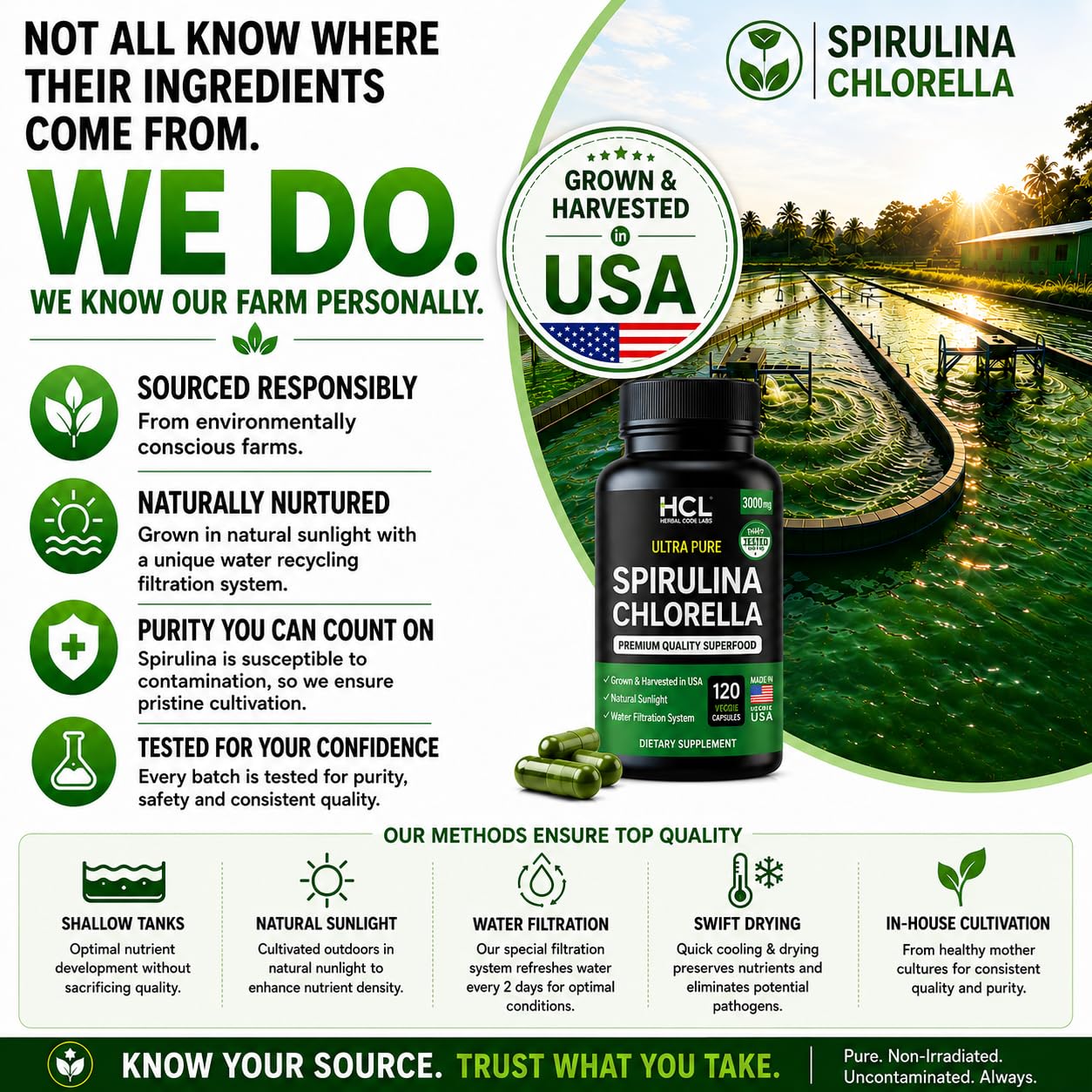 Chlorella Spirulina Powder Capsules 3000 mg of BMAA Free Purest Blue Green Algae - Best Natural Detox Raw Vegan Vitamins Protein Green Superfood - Made in USA — Amazon image 6