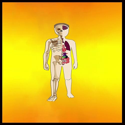 Gomathy Shankaran (DBA Kidz Learn Applications) - Body Parts - Internal and Skeletal