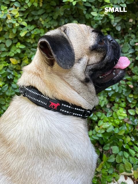 Foto 8 de 8 de Collar para Perro Resistente con asa Tuff Pupper