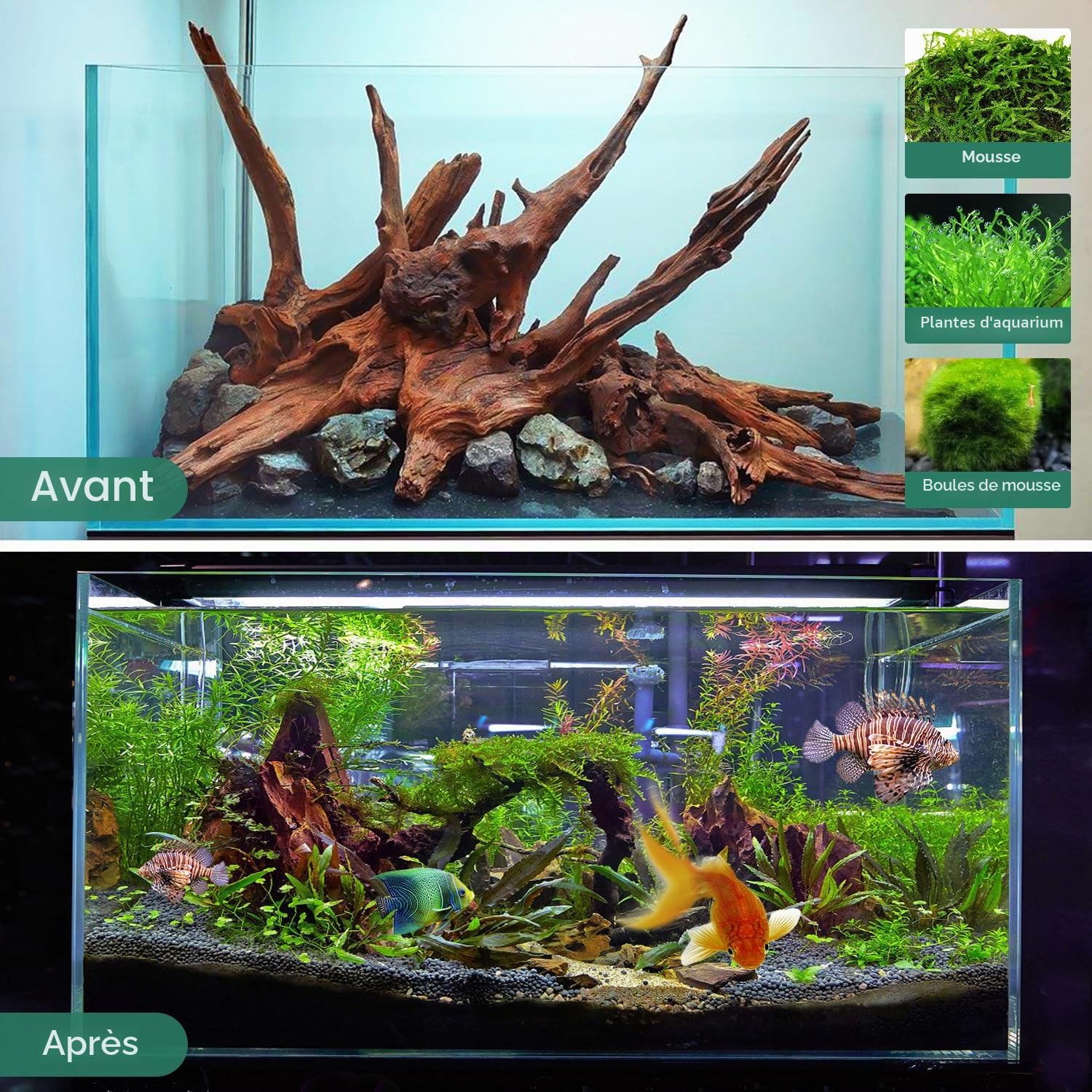 WDEFUN Lot de 2 Bois flotté de Corail Naturel pour Aquarium 254 cm de Long et 381 cm de Long Bois flotté de Grande Taille pour décoration sur Aquarium Aquarium Aquarium Aquarium Aquarium Reptiles.