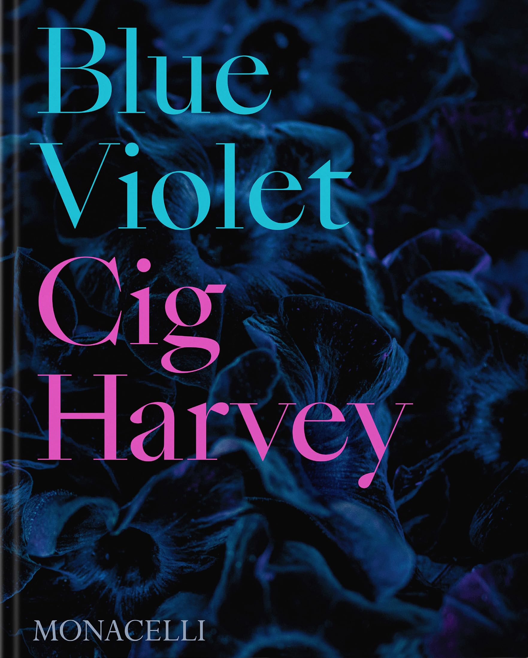 Blue Violet (The Monacelli Press)