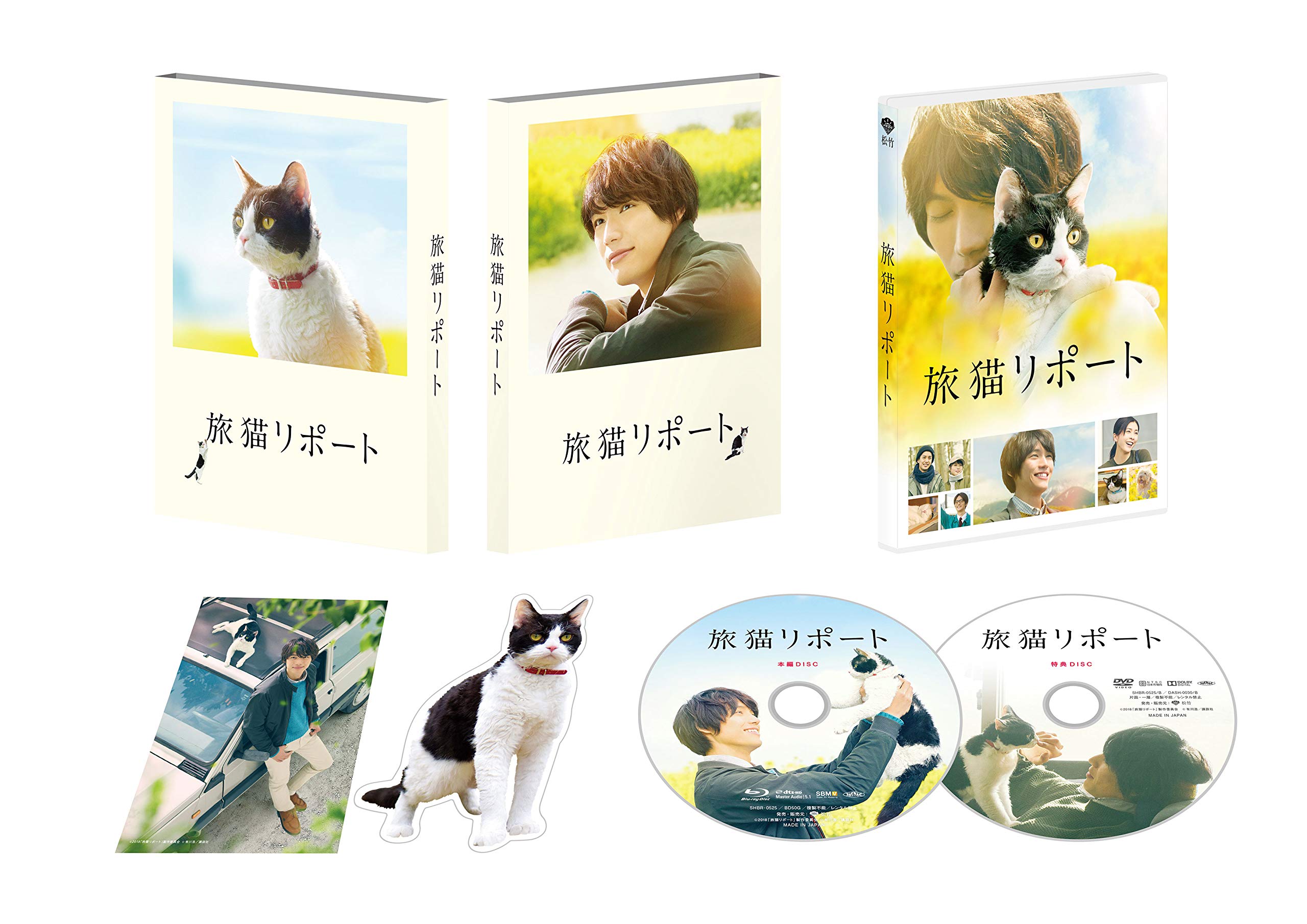 旅 猫 リポート