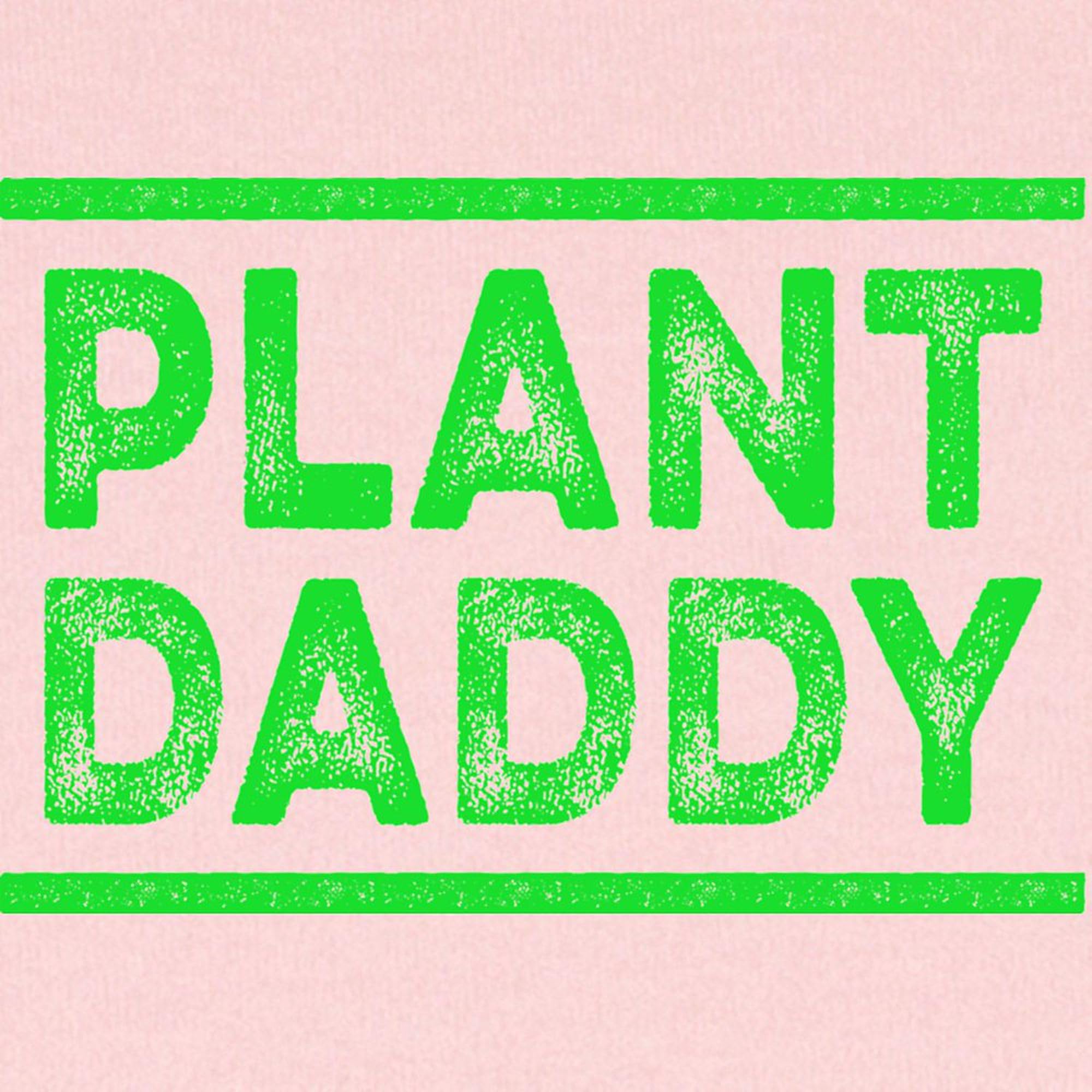 CafePress Plant Daddy Vegan Vegetarian Veganism Baby Blanket, Super Soft Newborn Swaddle