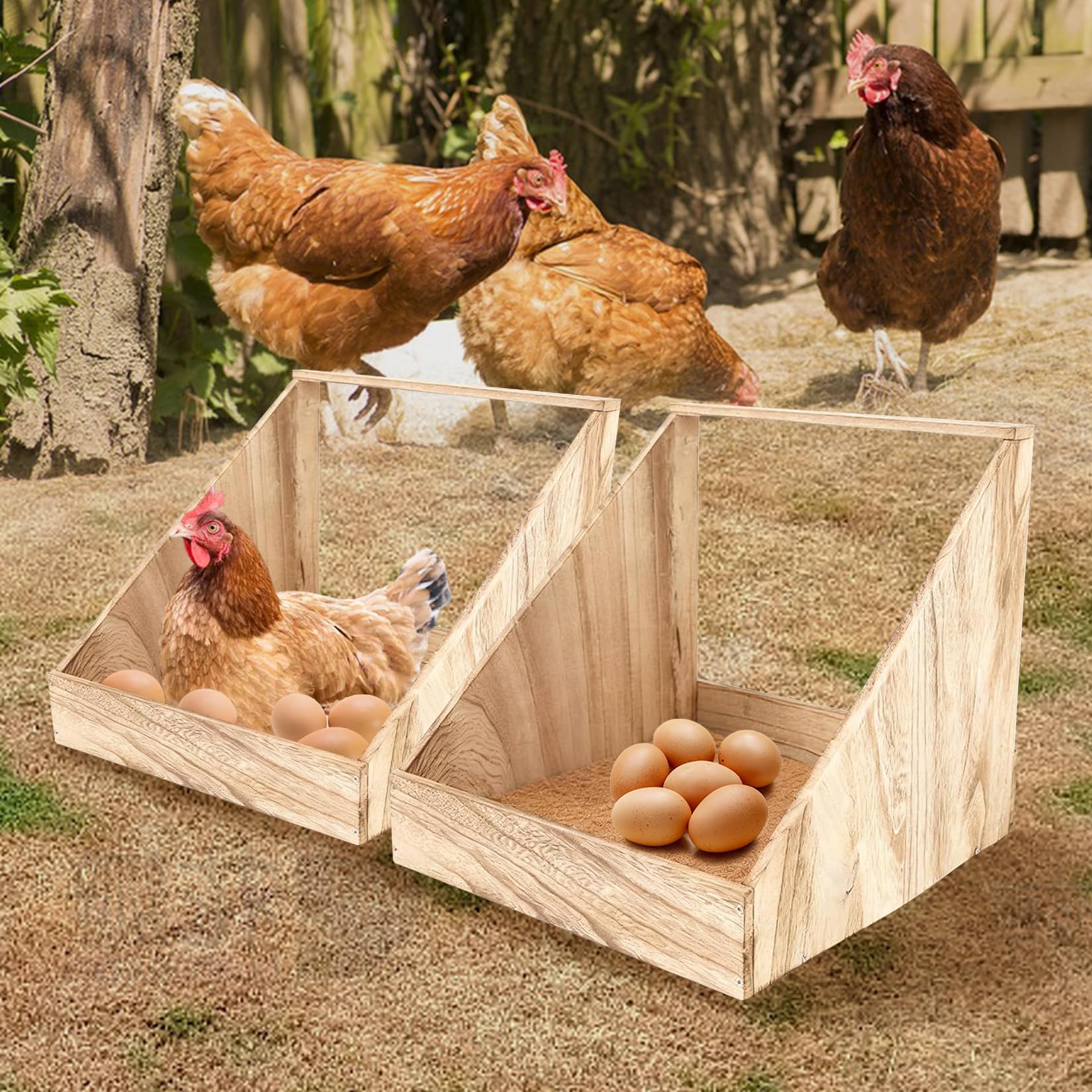 2 Pezzi Nido Per Galline Montaggio A Parete Accessori Per Pollai In Legno Con Tappetini Per Nidi Pollame Deposizione Delle Uova Gabbia Per Galline Per Galline Uccelli e Anatre