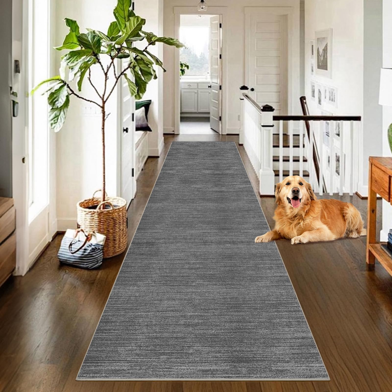 Alfombra de Pasillo y Cocina Lavable Antideslizante Alfombra Corredor Tapete Larga Alfombra para Pasillos Felpudo Entrada Lavadero 50 x 350 cm Moqueta por Metros Alfombra Cocina Gris